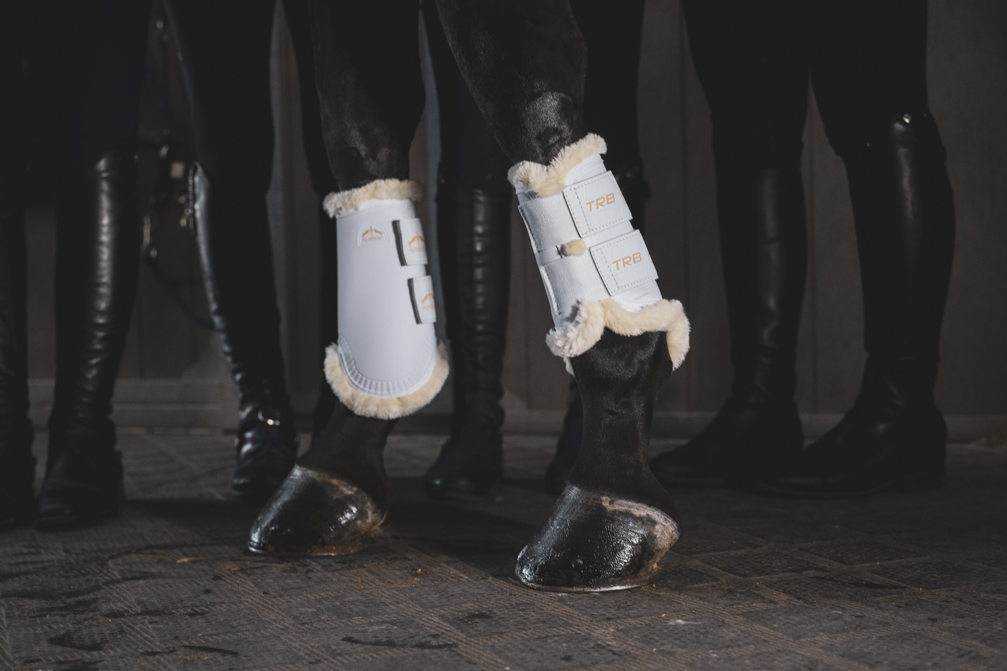 Gamaschen TRB Save the Sheep Front