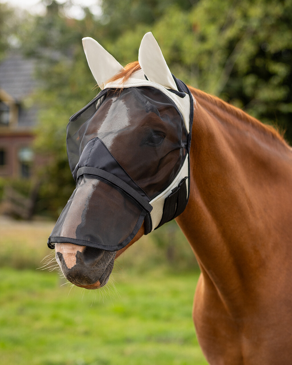 Fly mask with removable nose protection