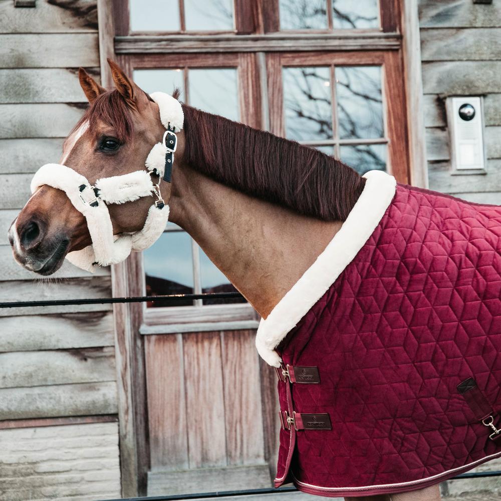 Couverture de concours Show Rug Velvet 160g