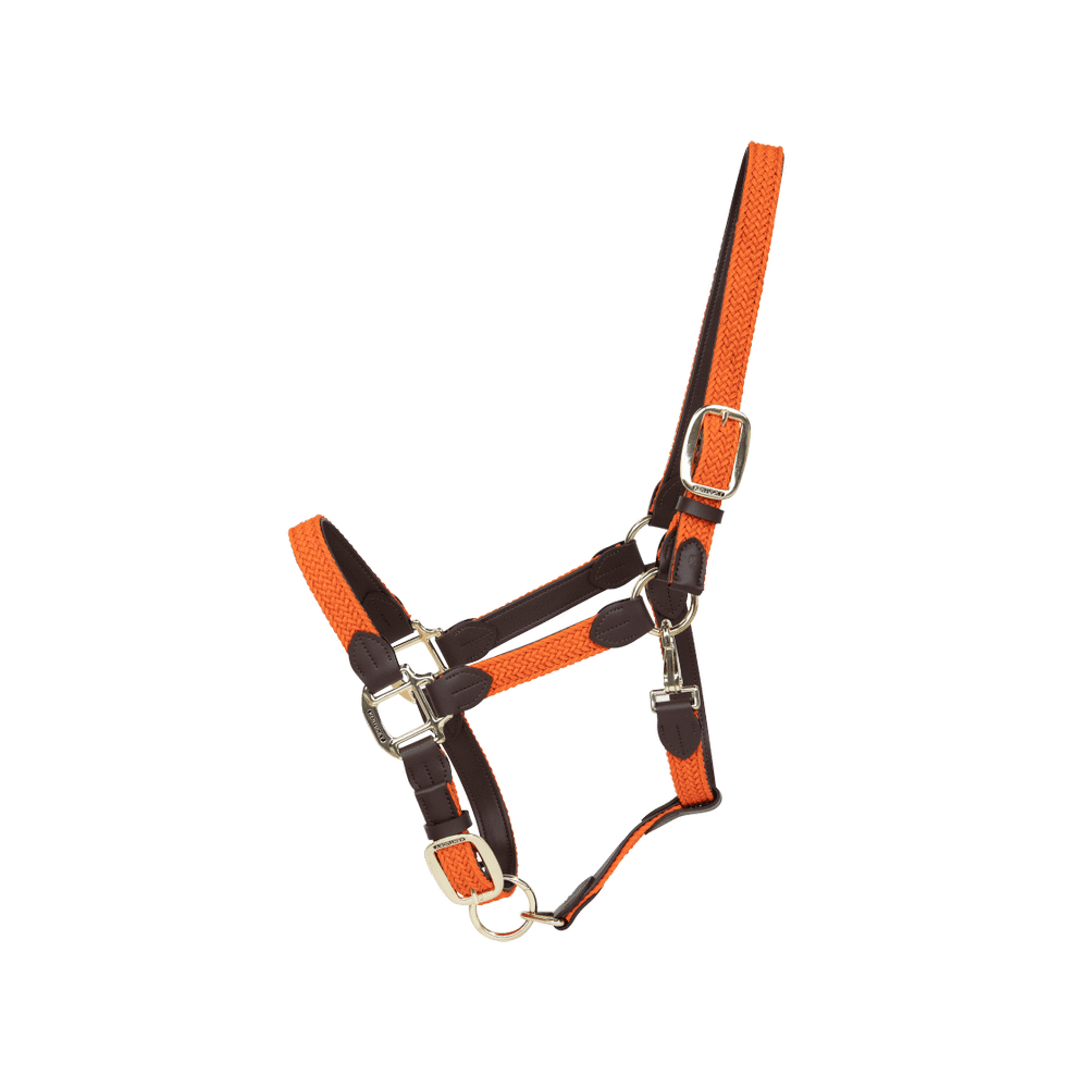 Licol Tressé Nylon