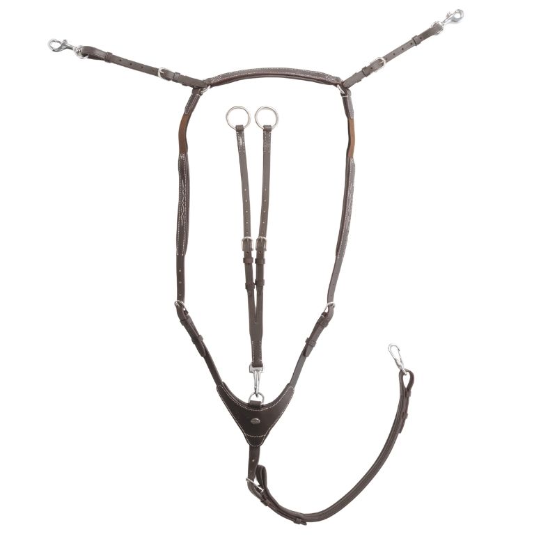 Breastplate "Dexter" 3-pt. high with elastic