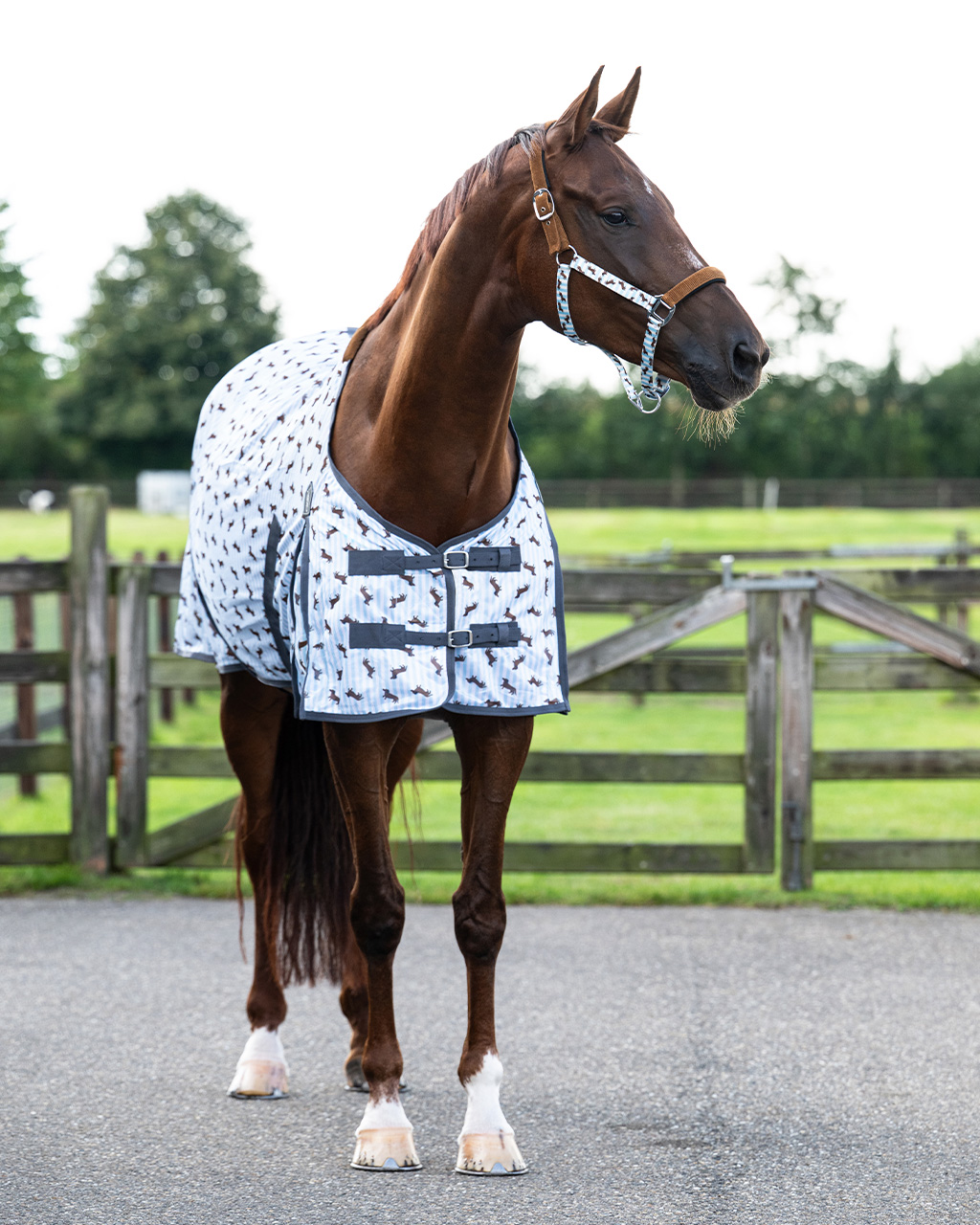 Fliegendecke Stable buddy