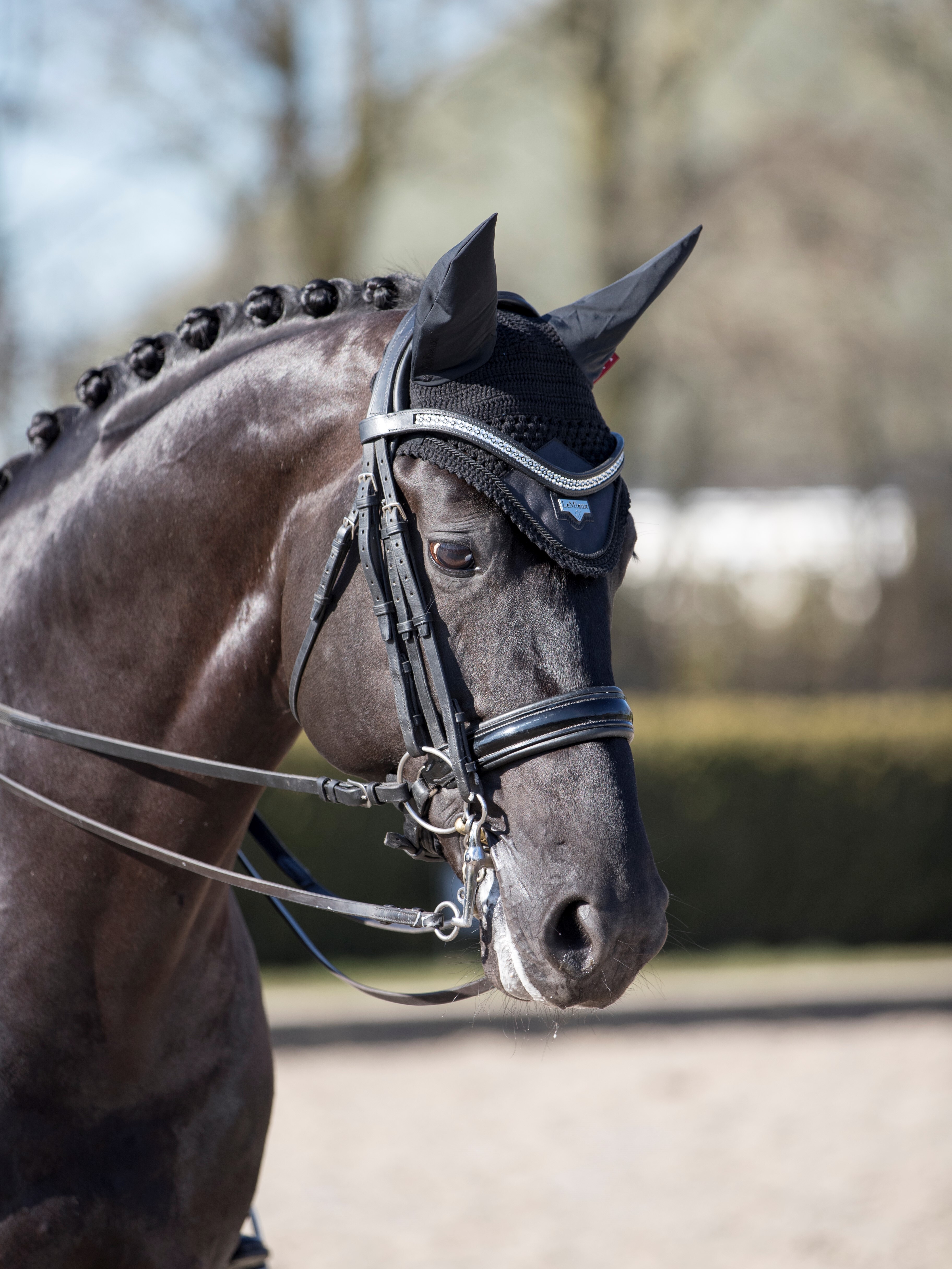 Loire ear bonnet