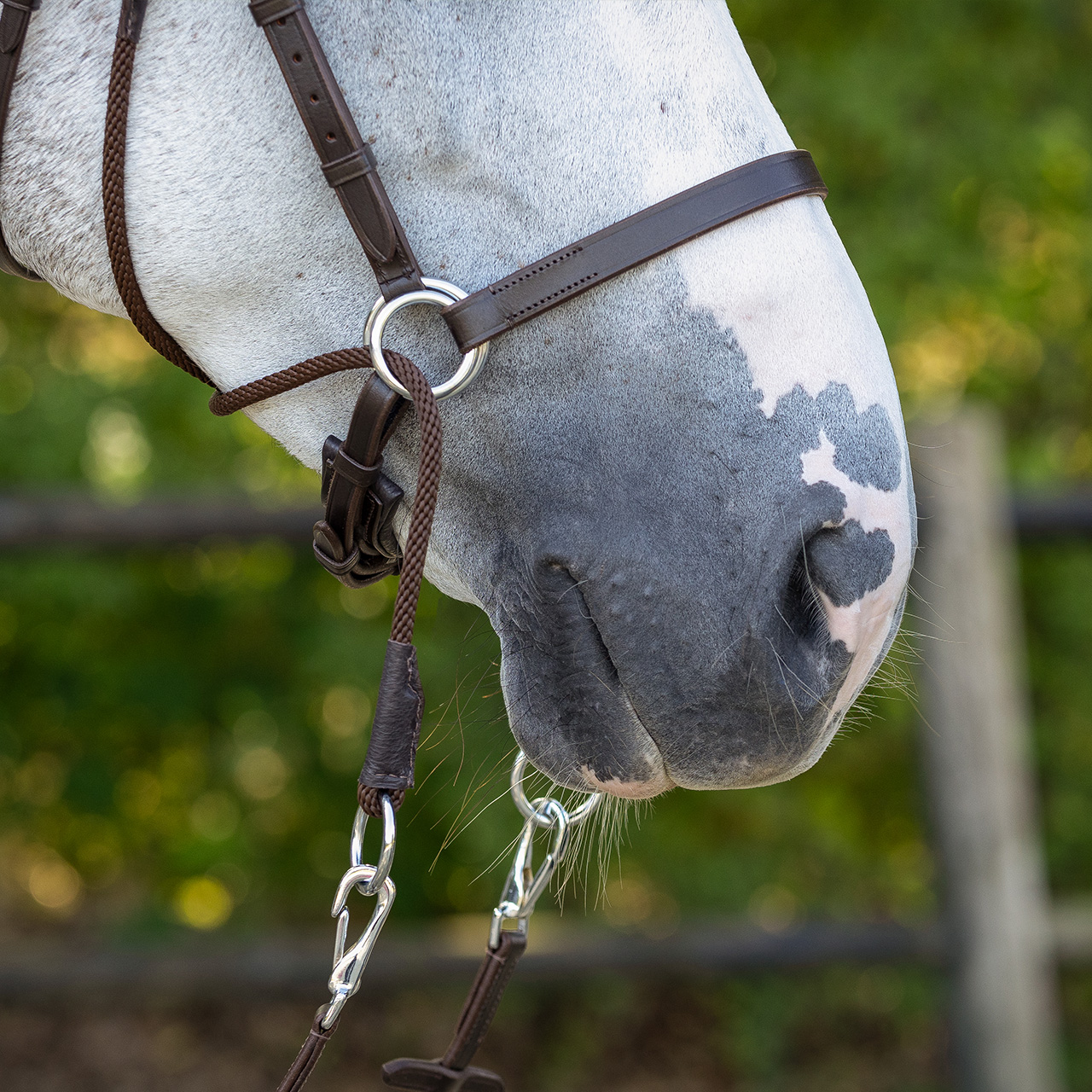 Snaffle bitless Ceto