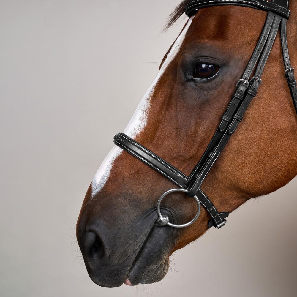 Trense mit Cavesson Reithalfter US