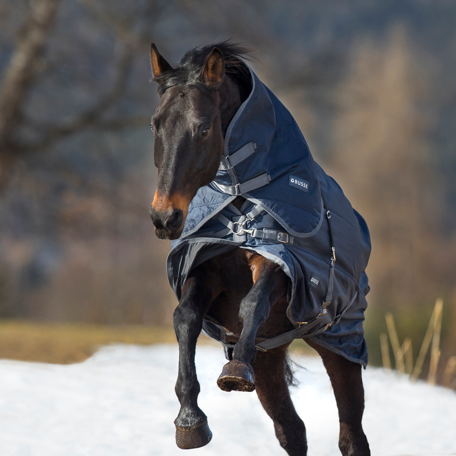 Outdoordecke Flexible Pro 250