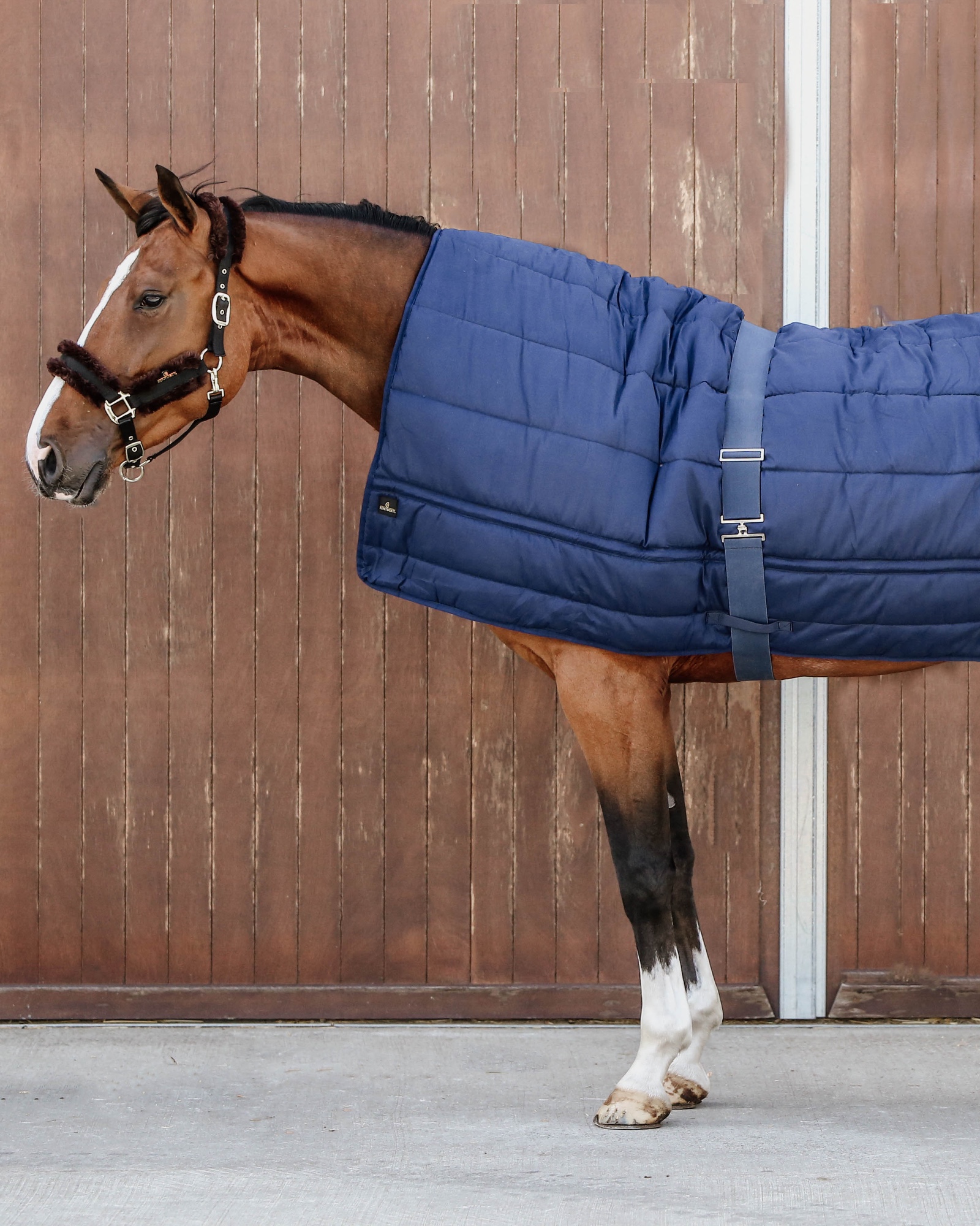 Down duvet horse 300g
