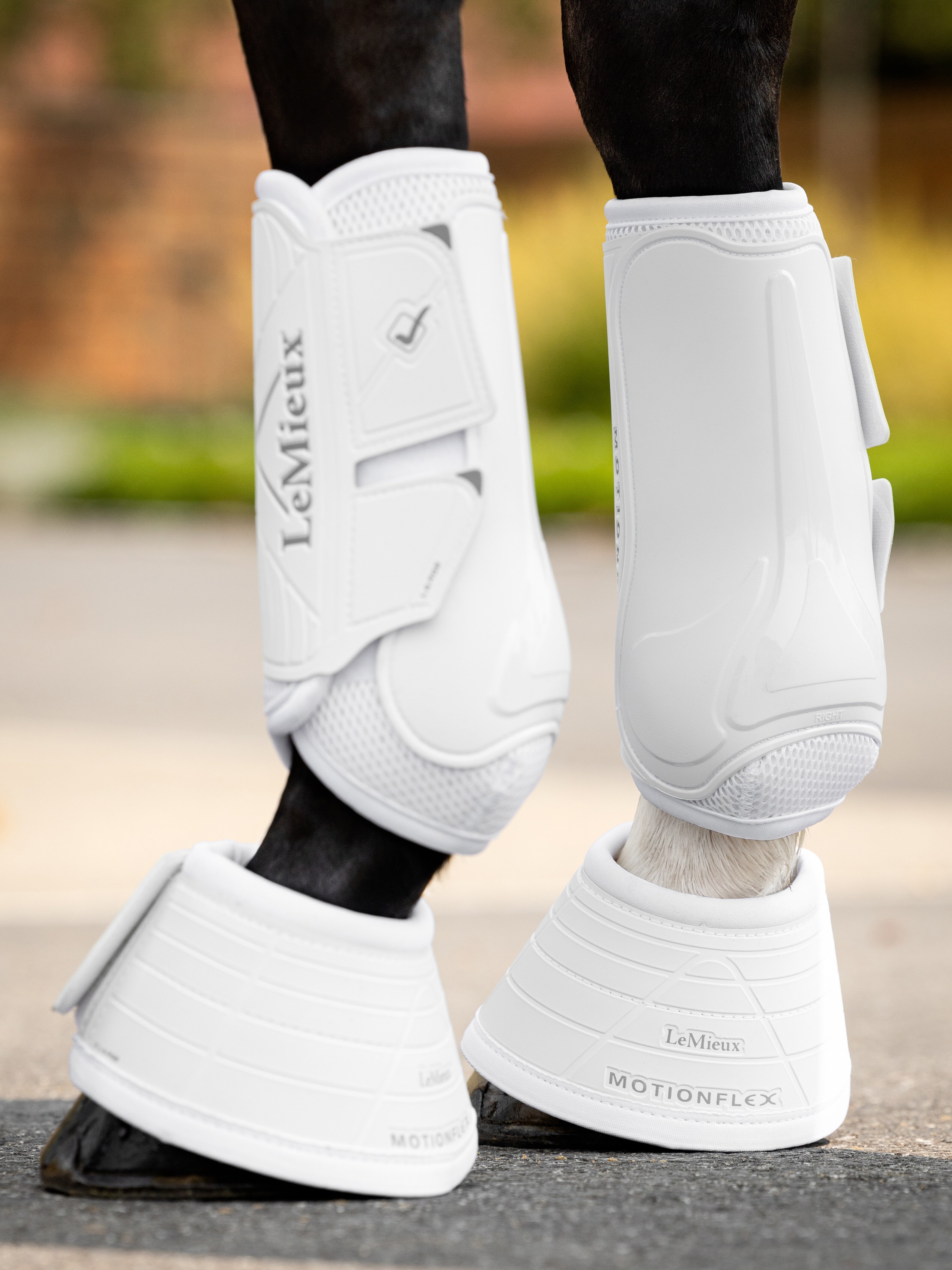 Motionflex dressage boots