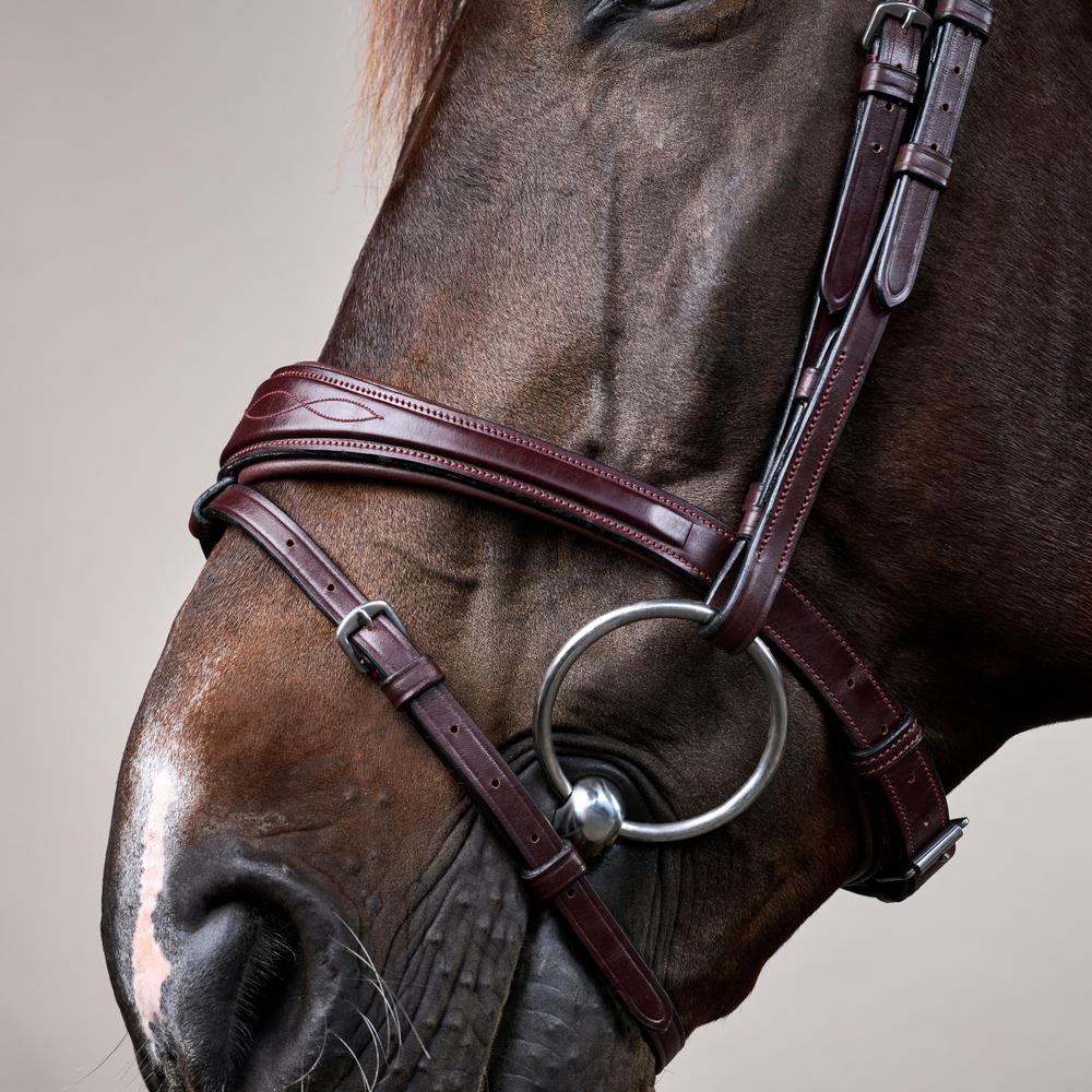 Anatomische Trense mit kombiniertem Reithalfter NE