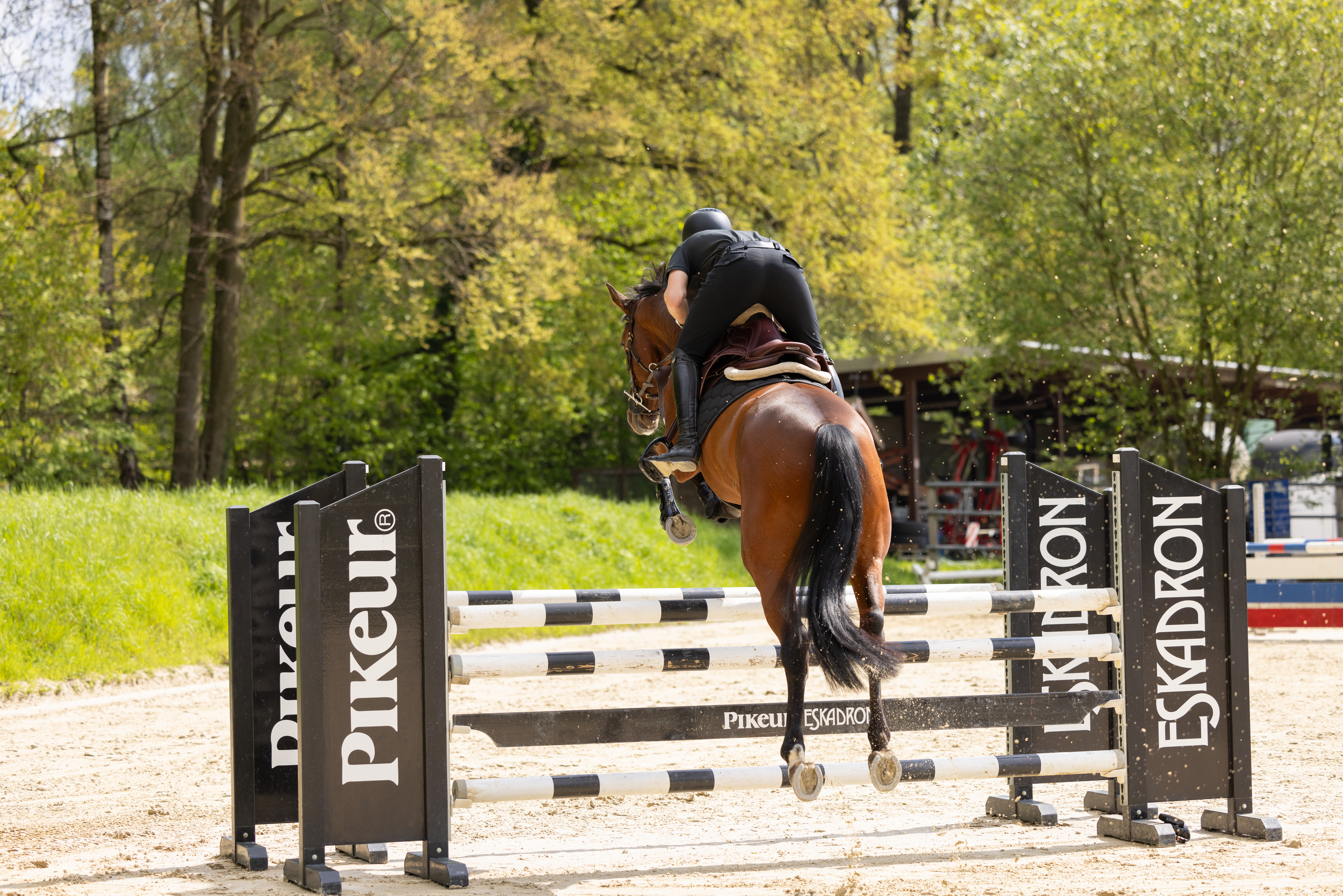 Men's riding breeches Rodrigo knee grip