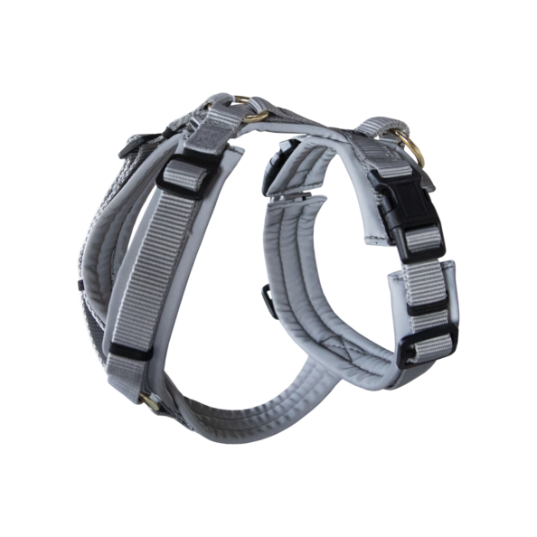 Active reflective dog harness