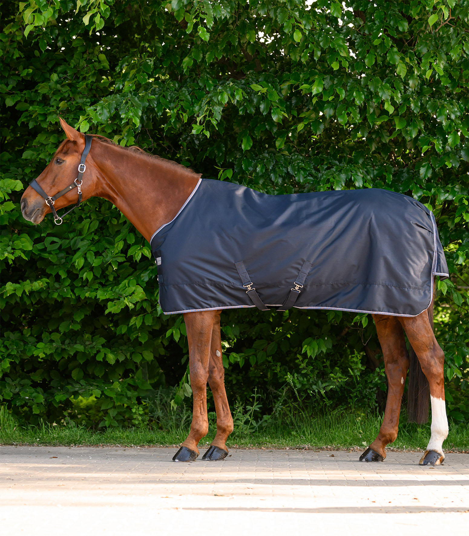 Outdoordecke ECONOMIC 0g in nachtblau