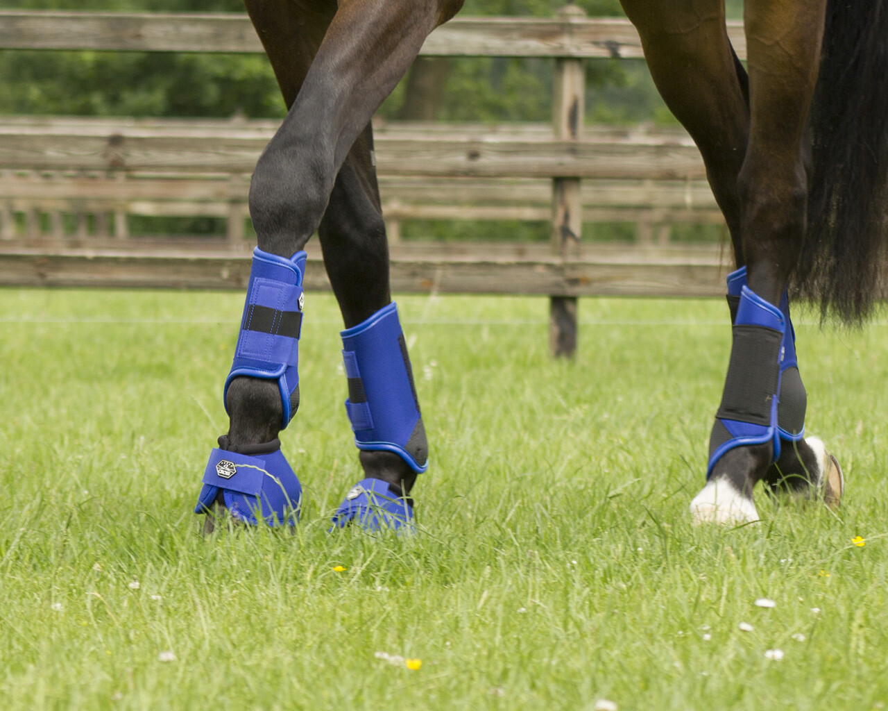 Gaiters Technical Eventing F