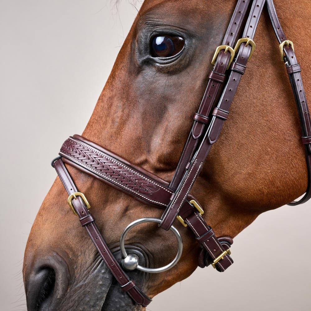 Geflochtene Trense mit schwedischen Reithalfter DY | Dy'on