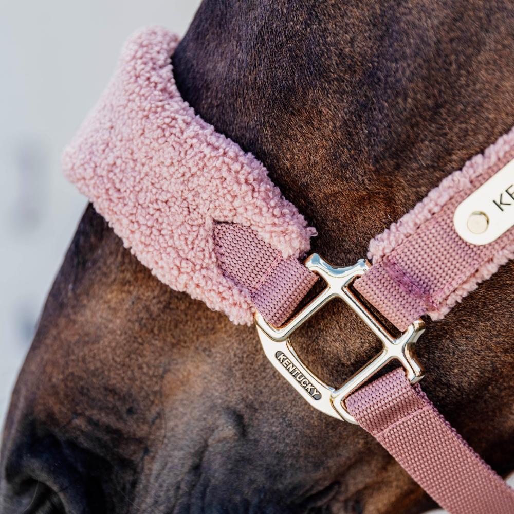 Halter Teddy Fleece