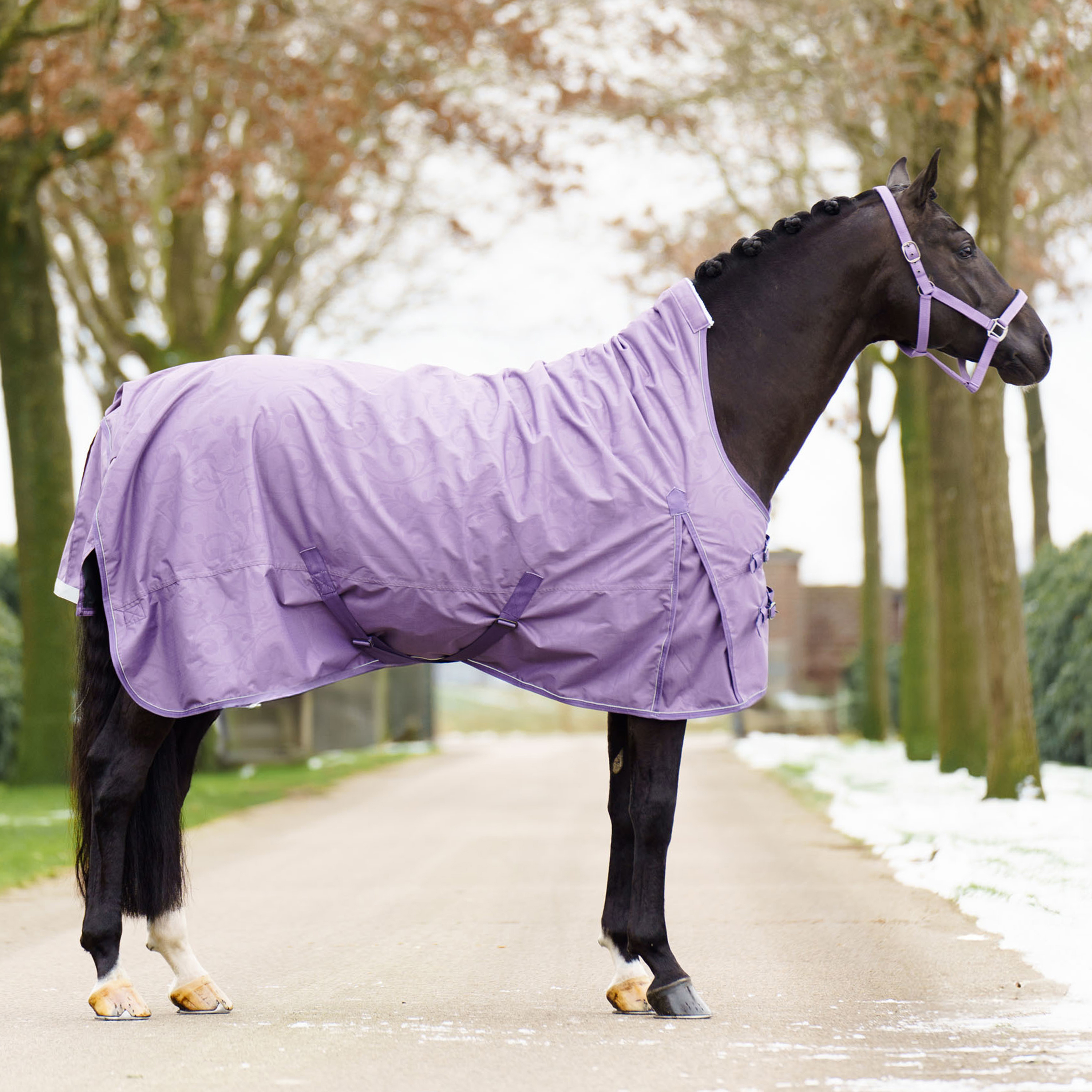 Turnout rug Super-dry 200gr