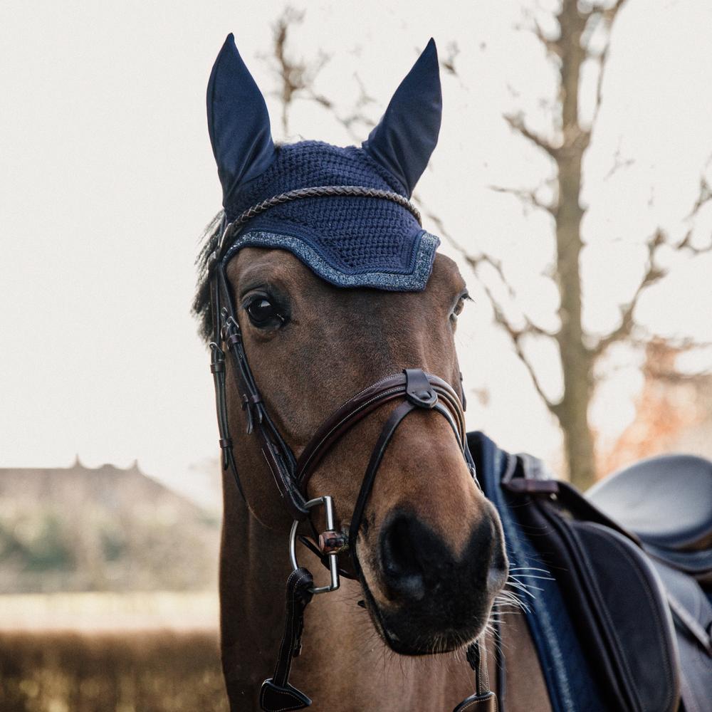 Fliegenhaube Wellington Glitter
