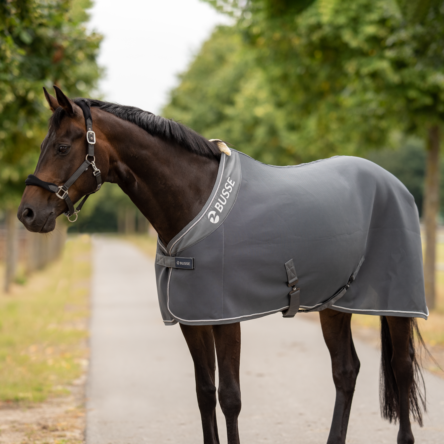 Abschwitzdecke 3D Air Premium