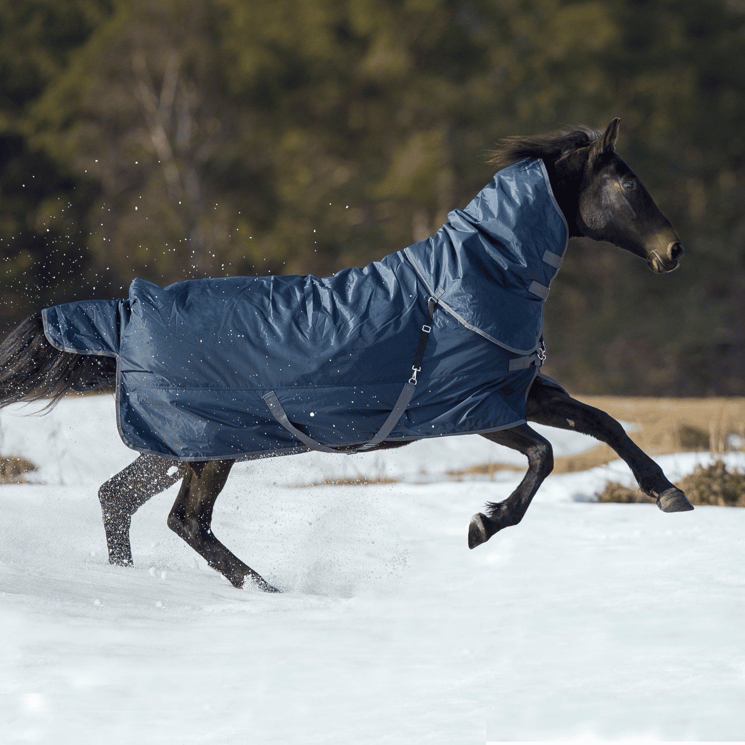 Outdoordecke Flexible Pro 250