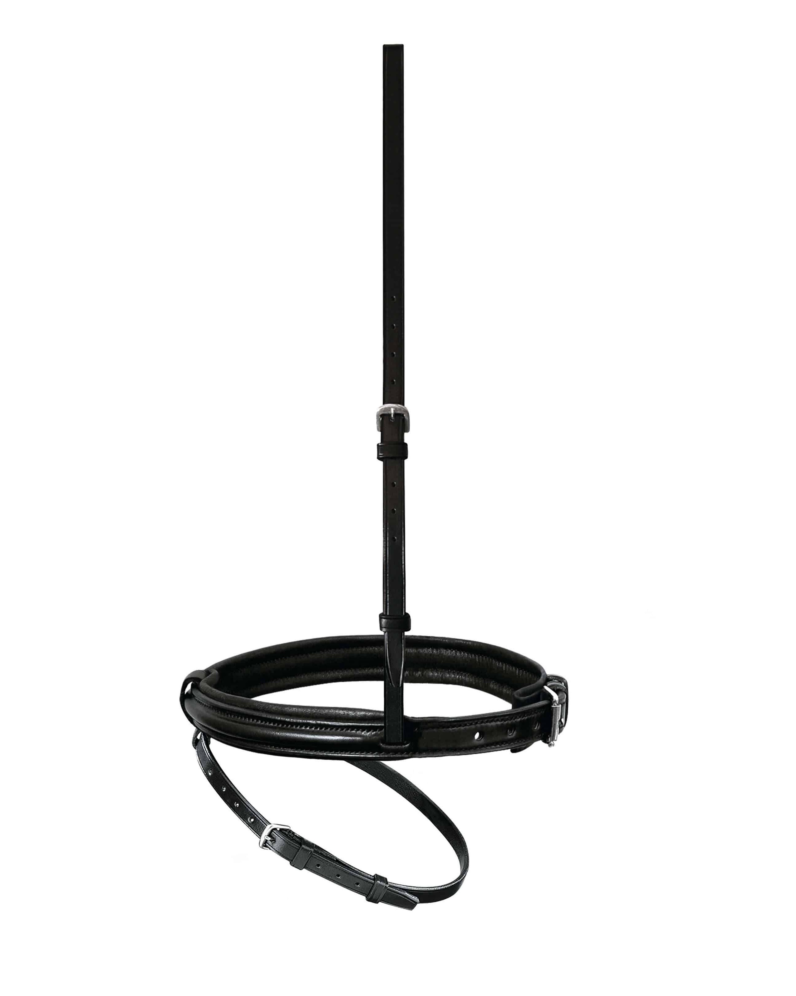 Reithalfter engl. kombiniert mit abnehmbarem Sperriemen in schwarz