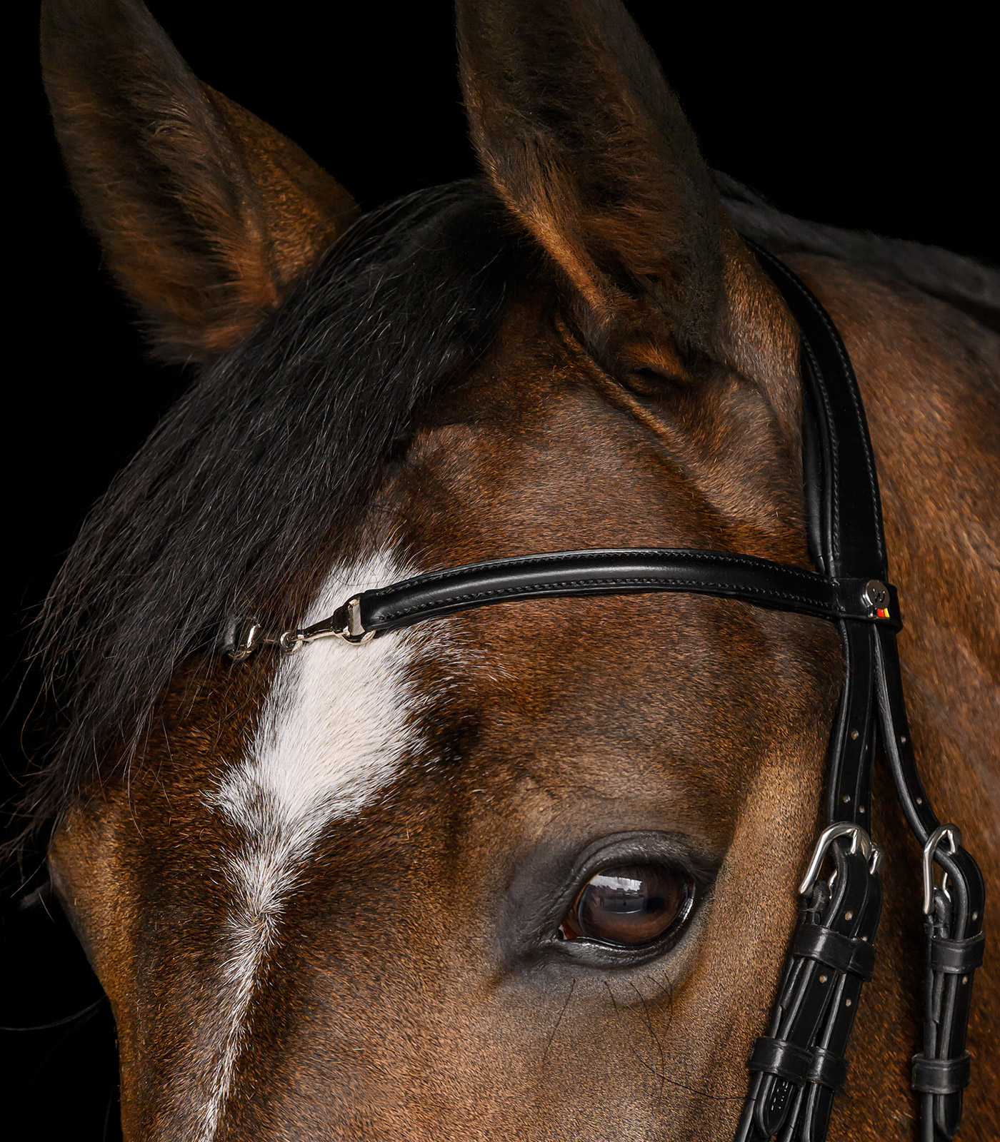 Trensenzaum X-Line Charmbit