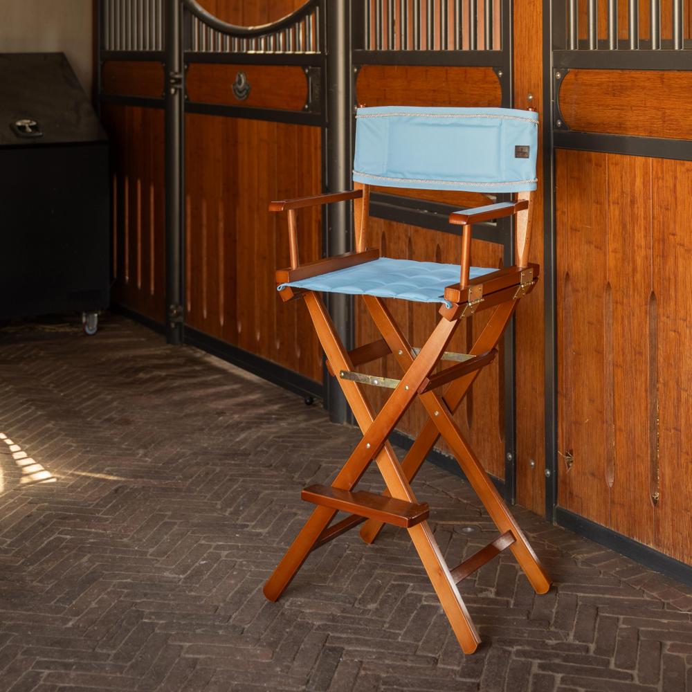 Seat and backrest for director's chair