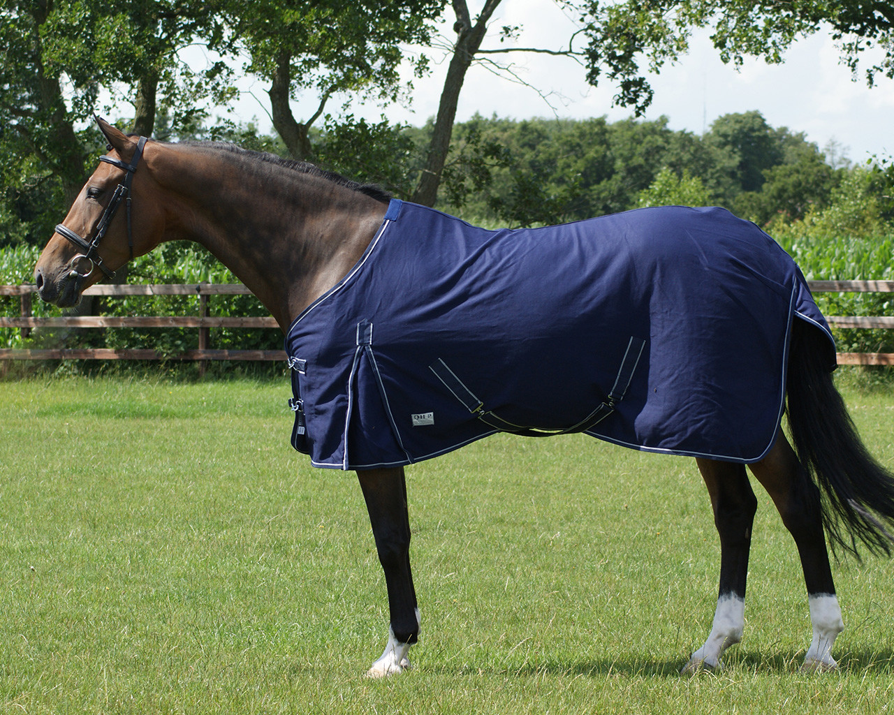QHP summer blanket