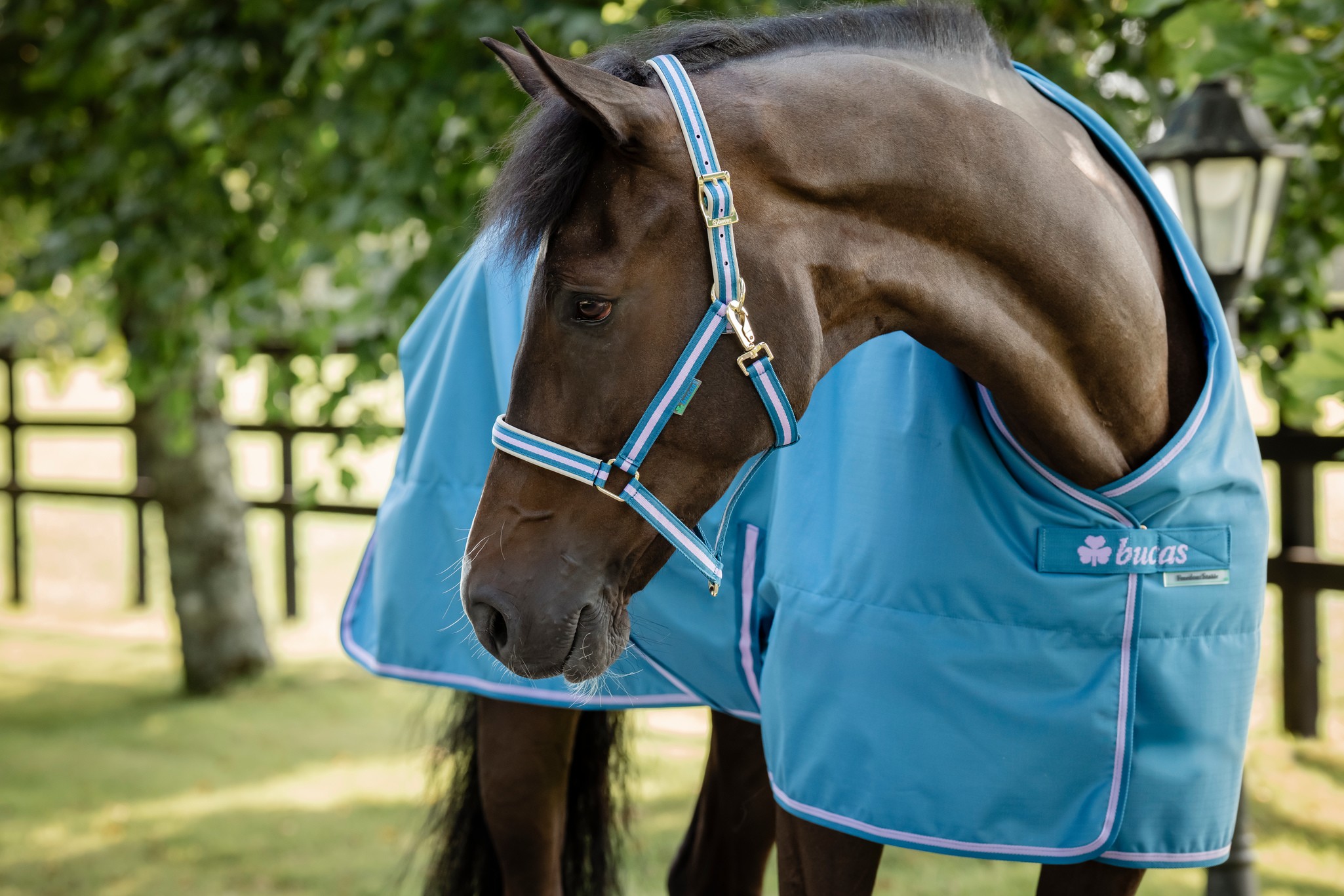 Stalldecke Freedom Stable 150 g in Blueberry