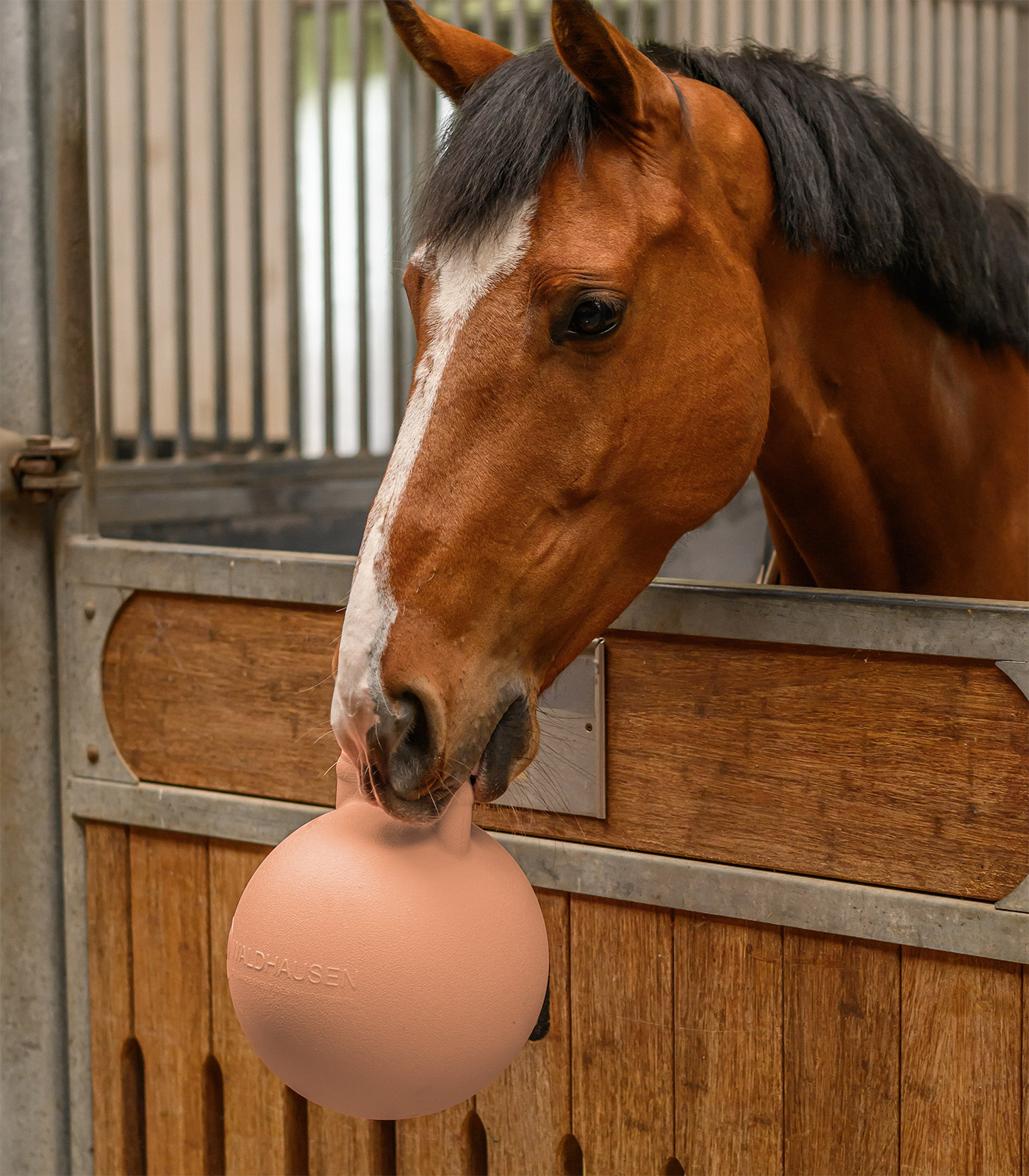 Fun Ball, linnea pink, with Strawberry Flavour, 25 cm