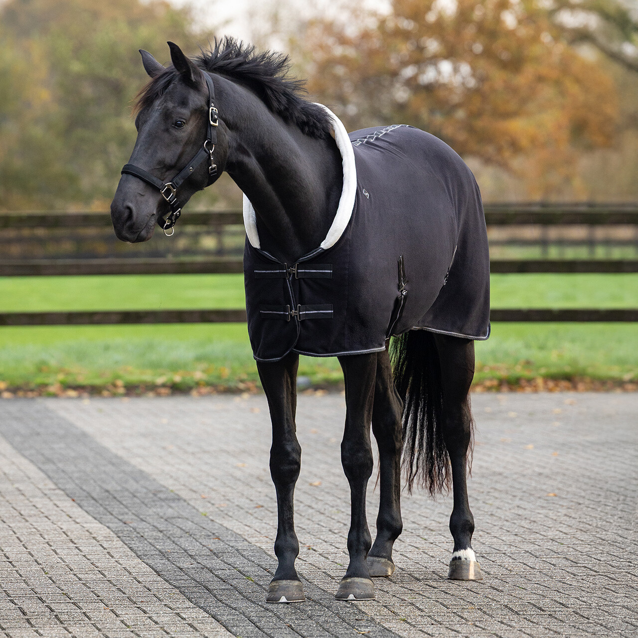 Fleecedecke Shine in schwarz