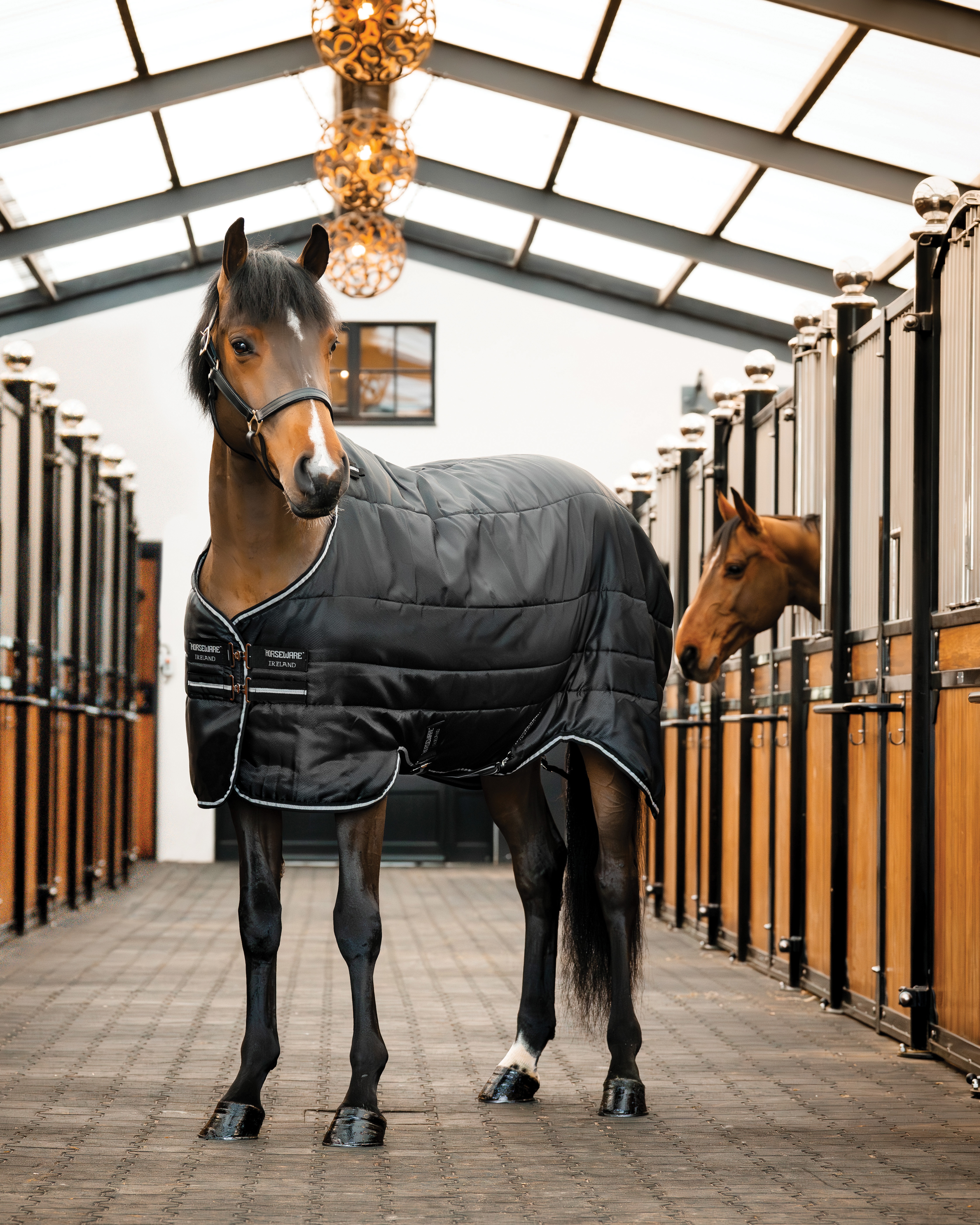 Stalldecke Easy Layer 100g in schwarz/silber