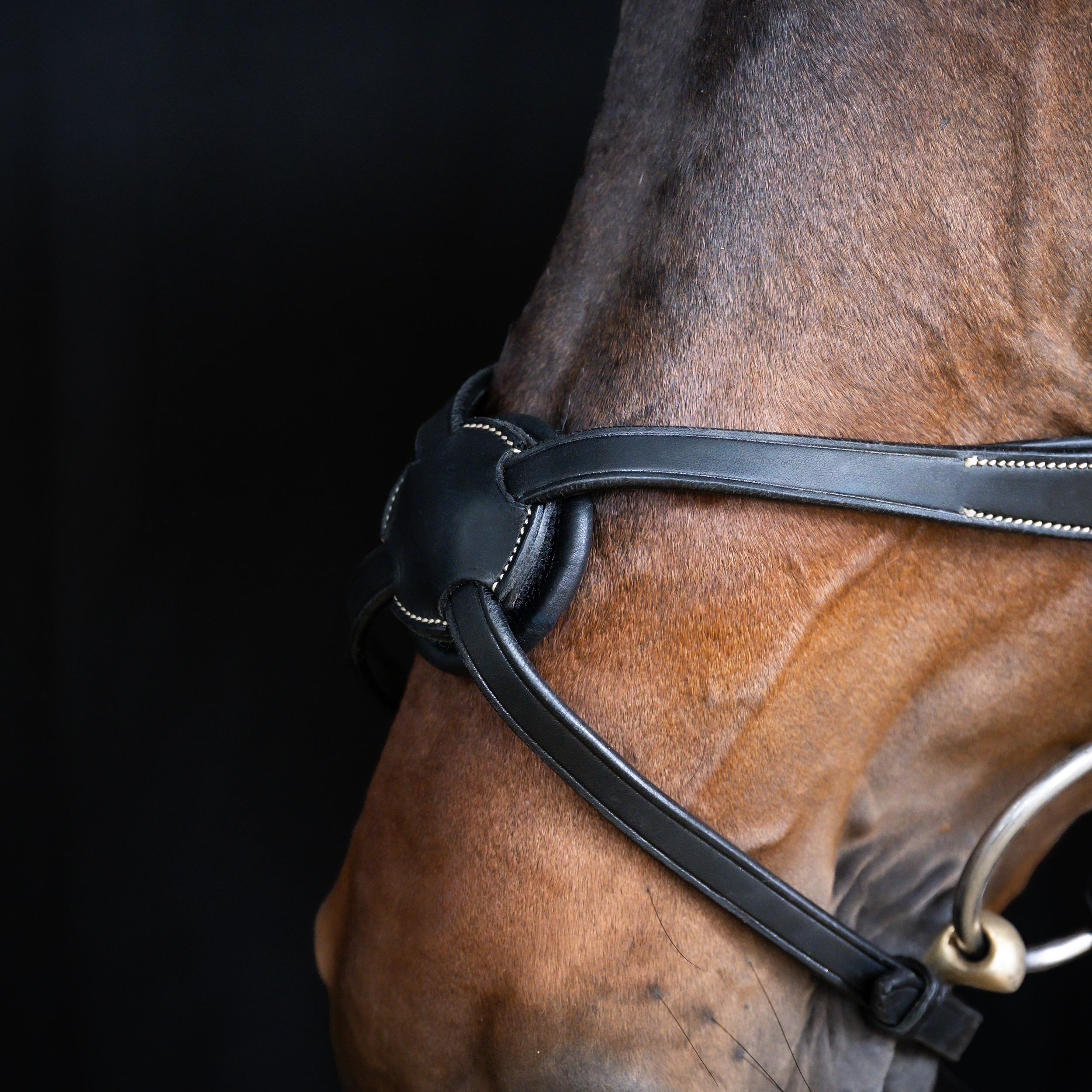 Snaffle Take-Off Line AD