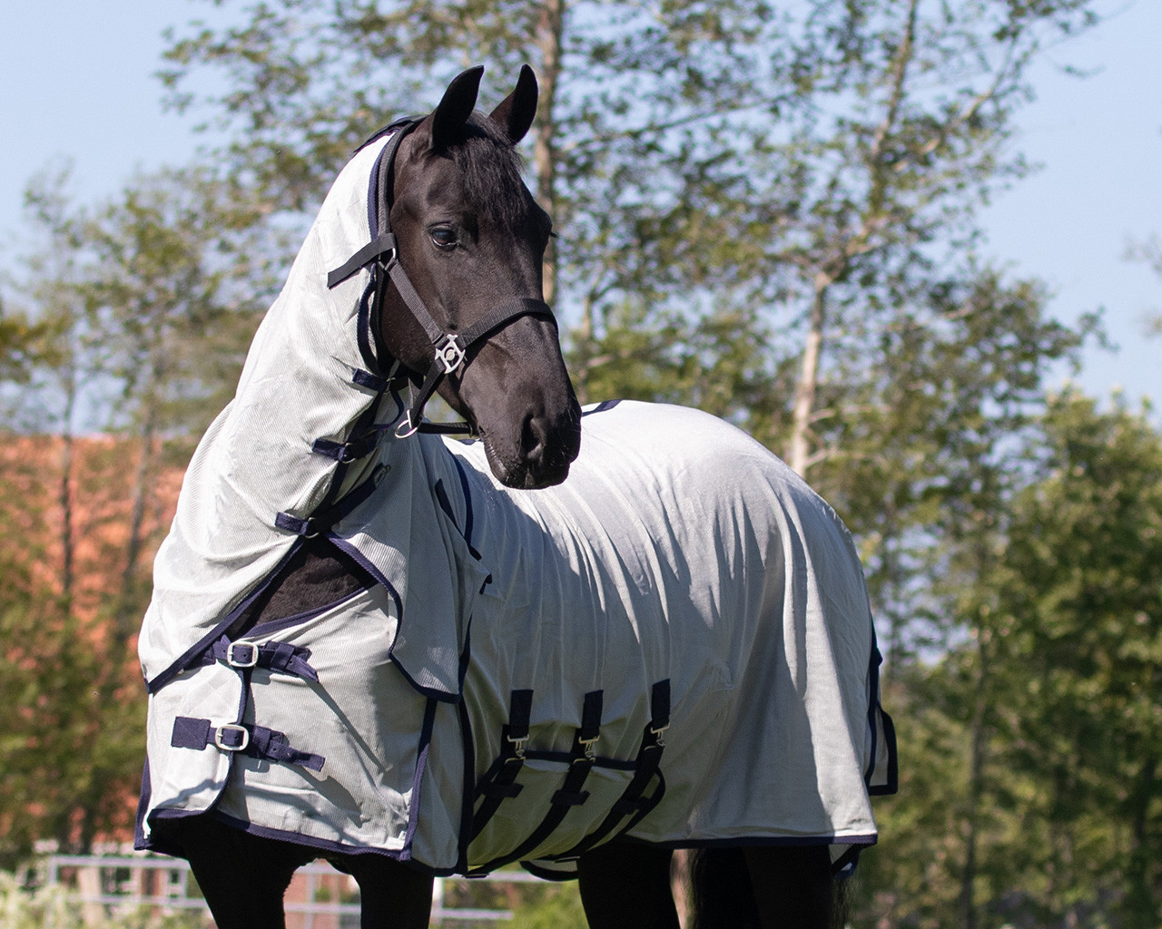 Fly rug with neck and bonnet Big neck