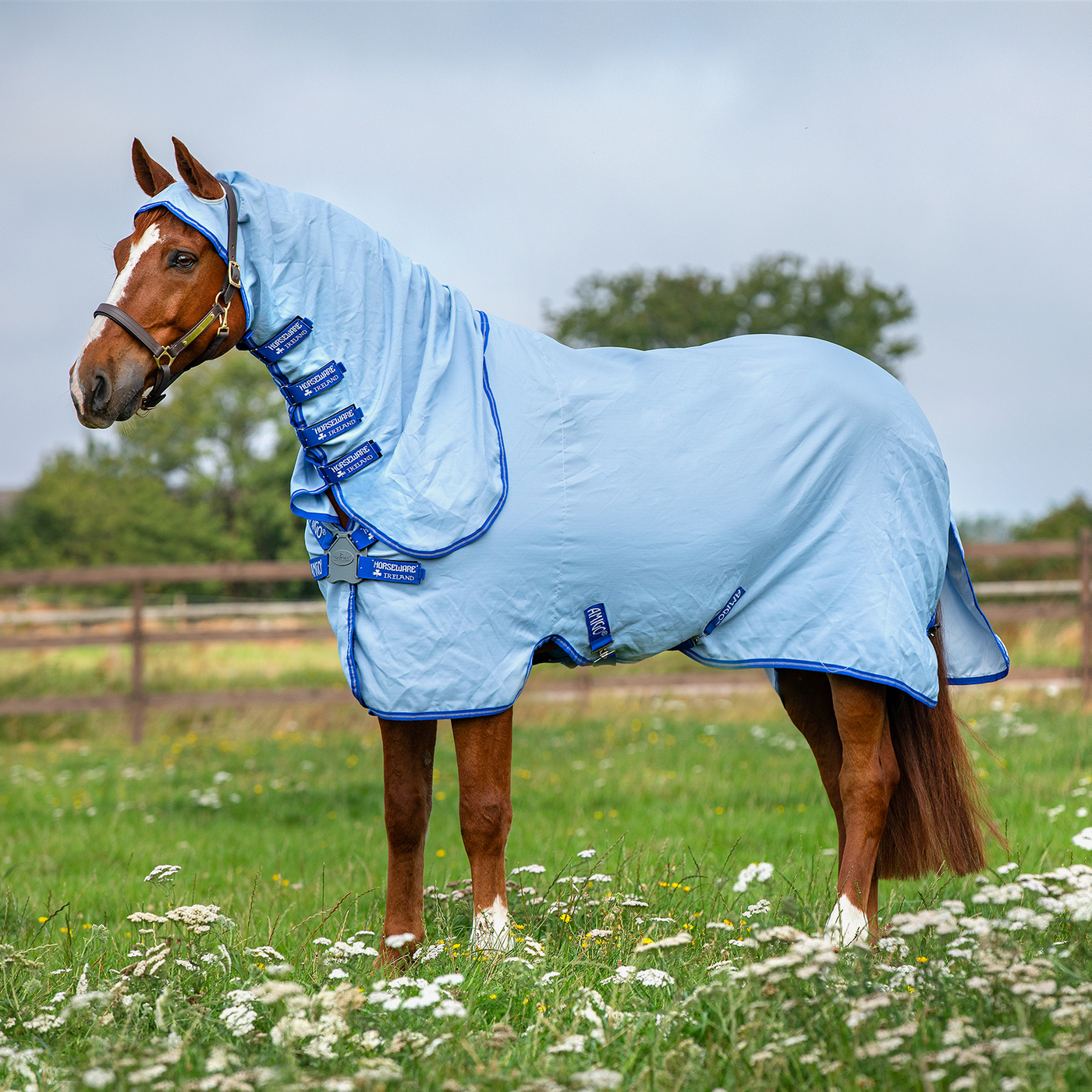 Fly rug Amigo Ripstop Hoody in Azure Blue/Strong Blue & Silve