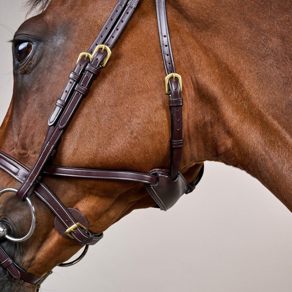 Difference Trense DY DY | Dy'on