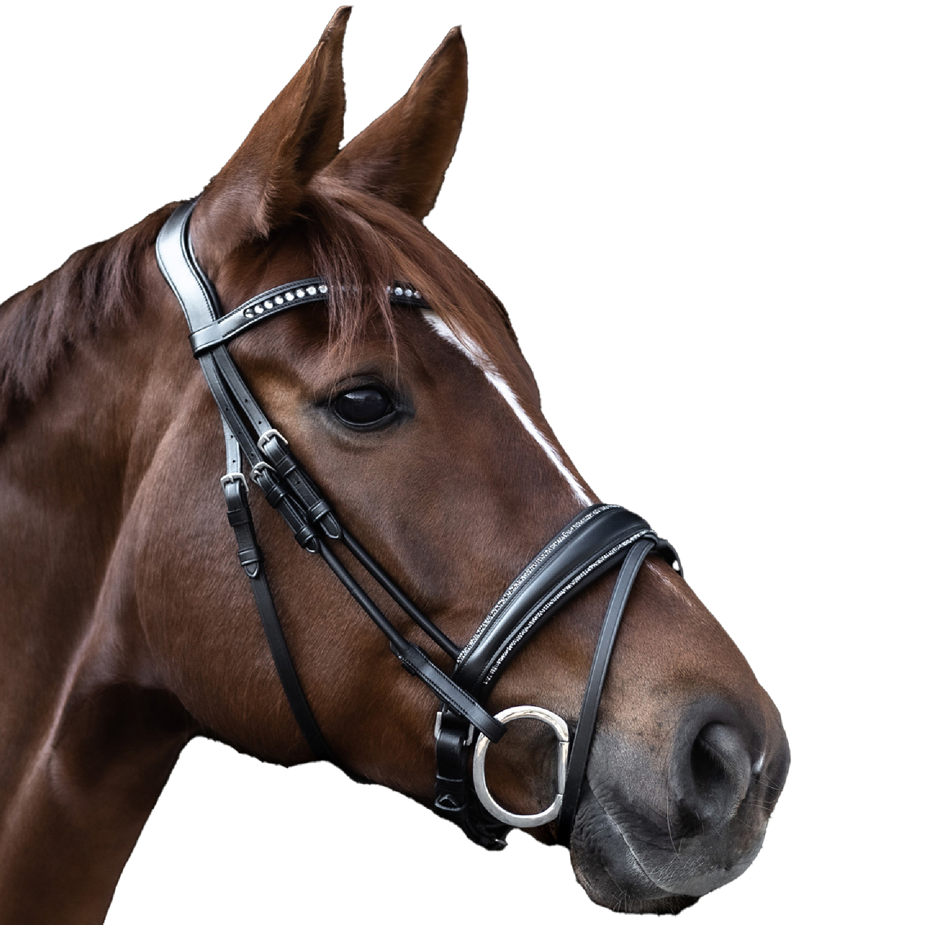 Trensenzaum S-Line Glamour, schwedisch komb.