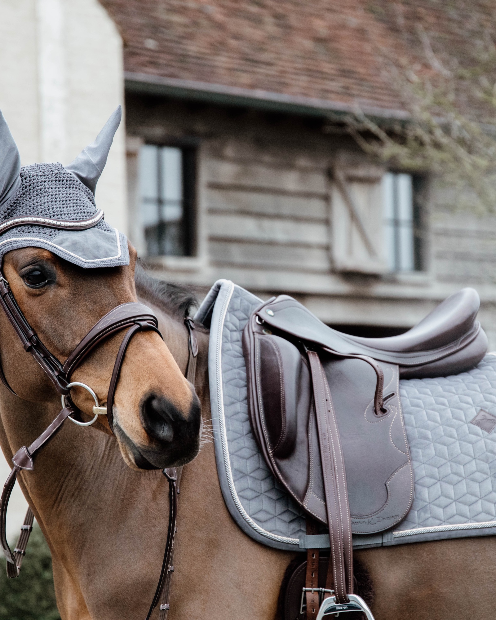 Dressage saddle pad Basic Velvet
