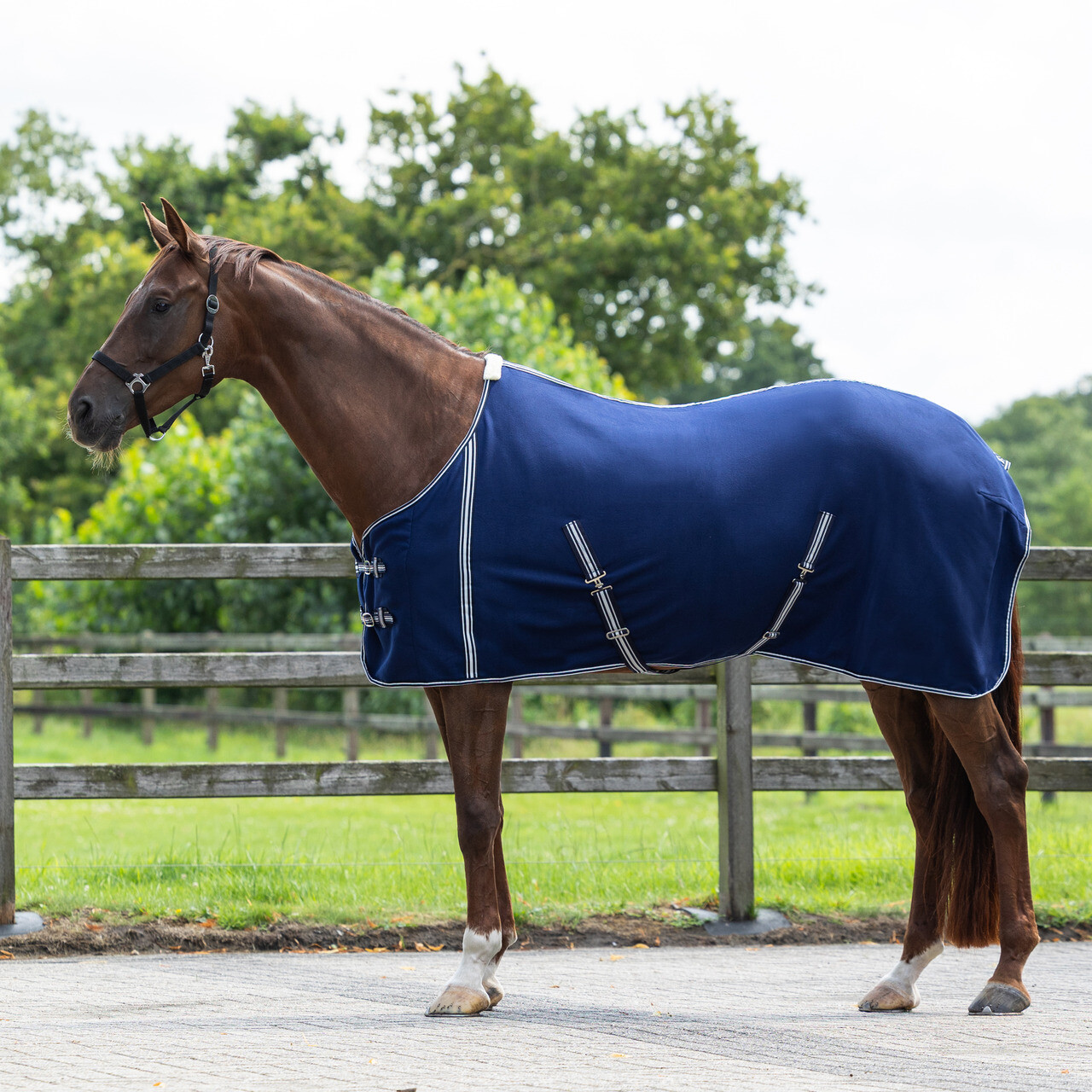 Basic sweat rug with cross surcingles