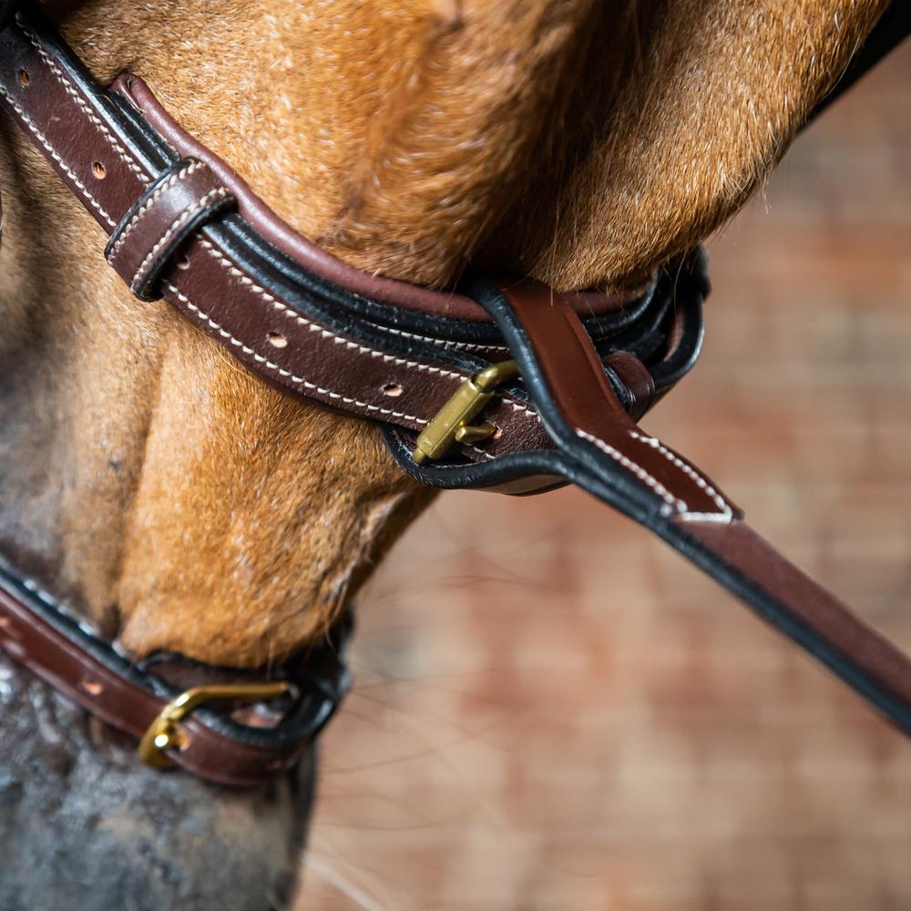 Festes martingaal | Dy'on