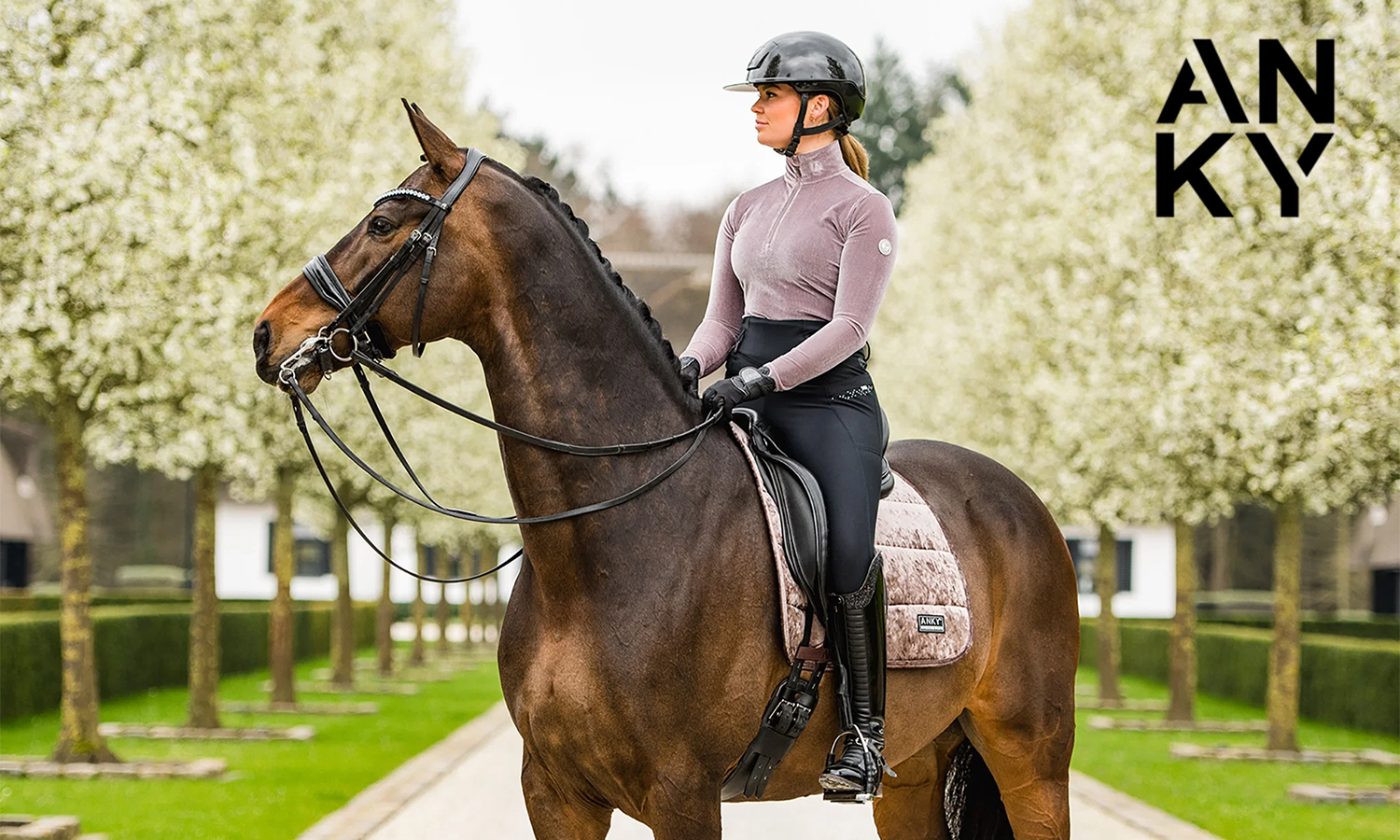 ANKY Equestrian