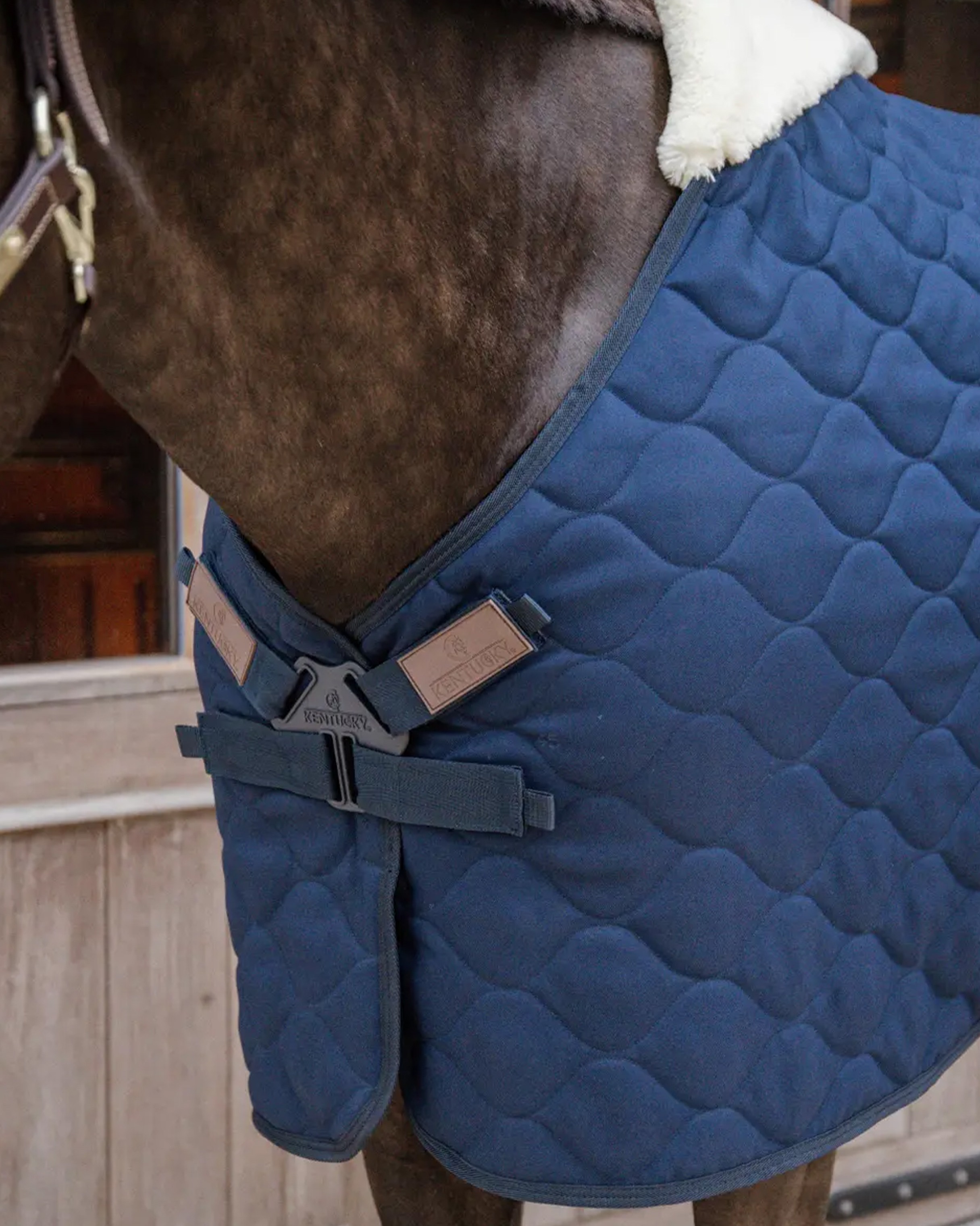 Comfort stable rug in navy