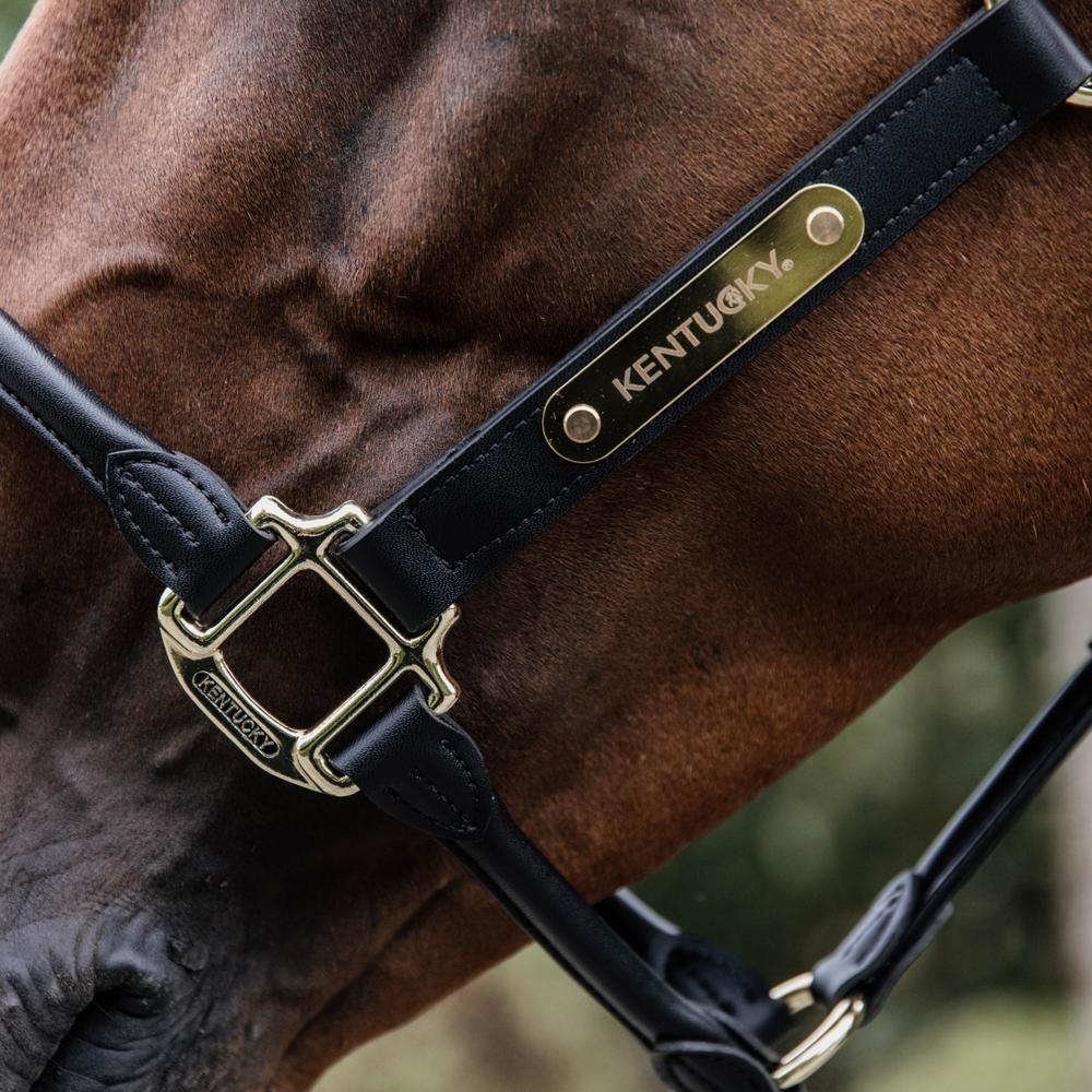 Anatomisch Leder Halfter