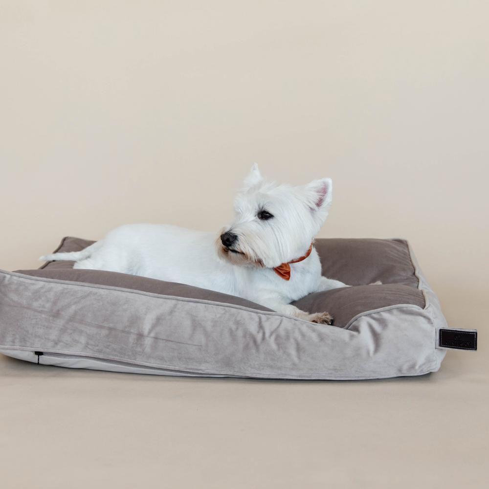 Hundekissen Velvet | Kentucky Dogwear