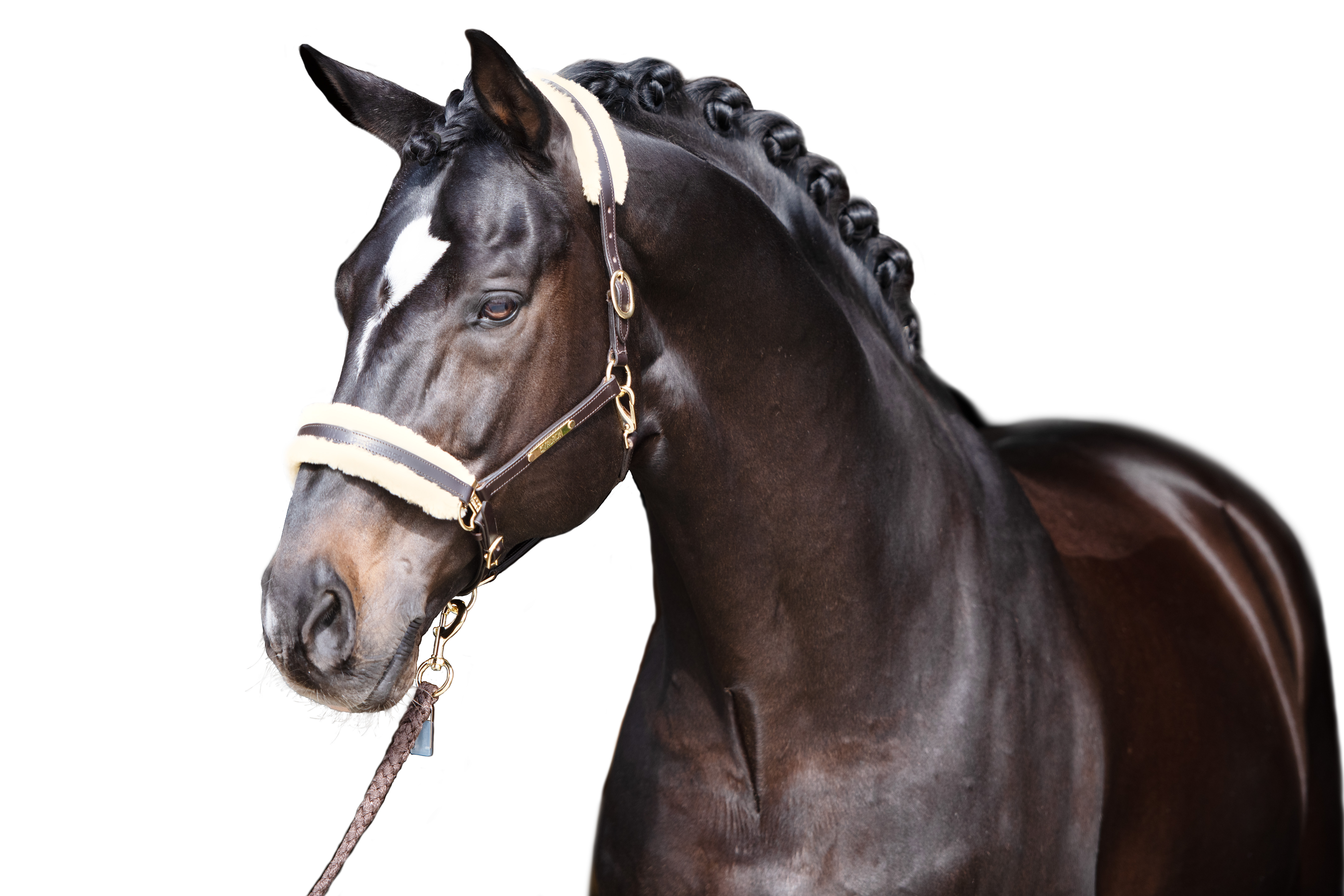 Klettpolster Set Fauxfur Elegance