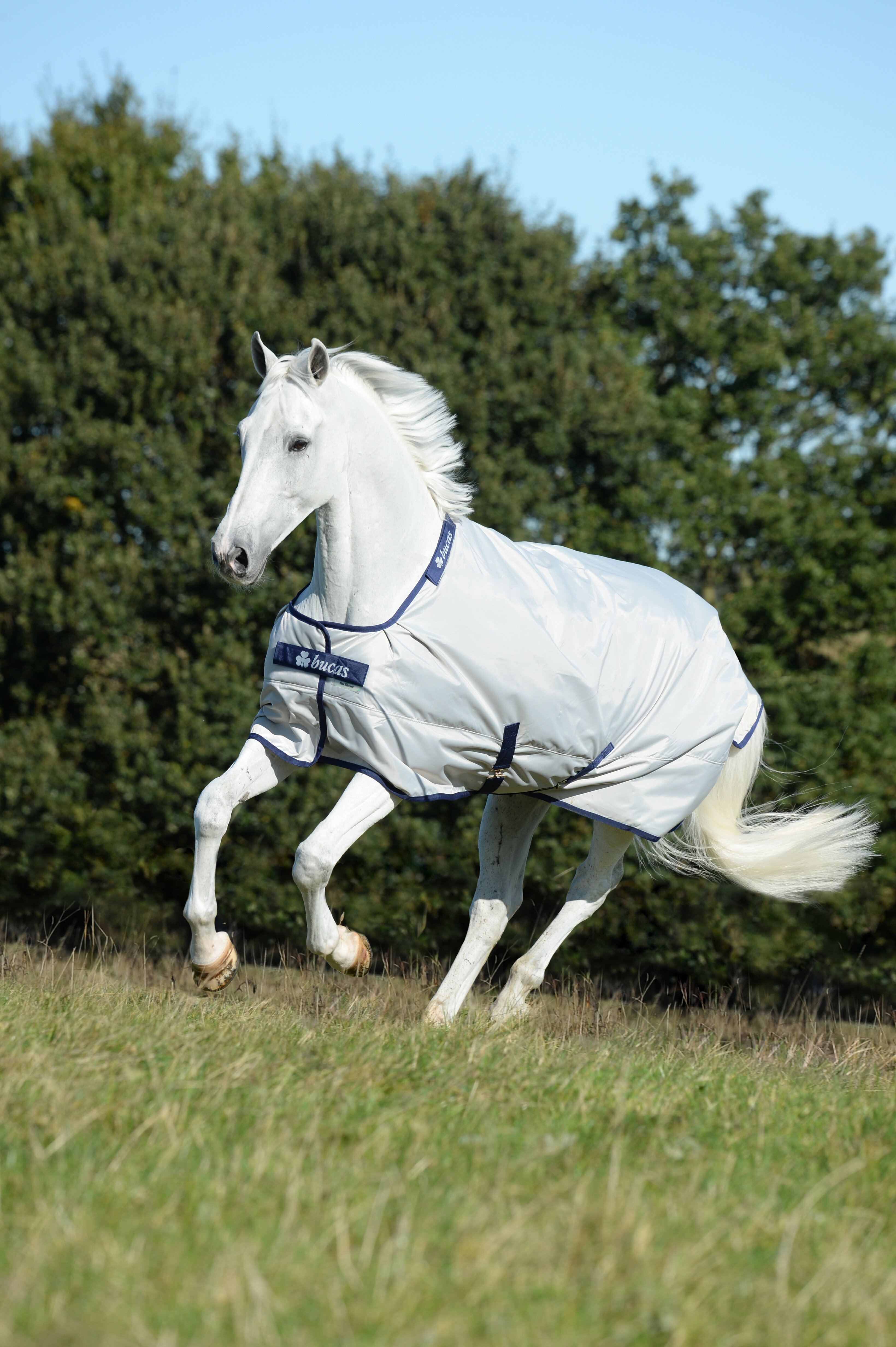 Regendecke Sun-Shower 0g Silver