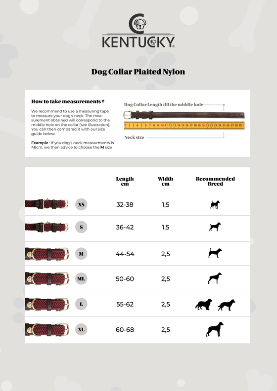 Velvet Leather dog collar