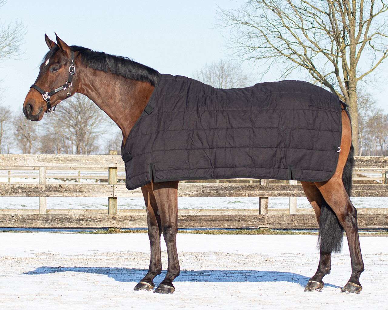 Outdoor Blanket Combi Set Turnout Outdoor Blanket Combi Set Turnout