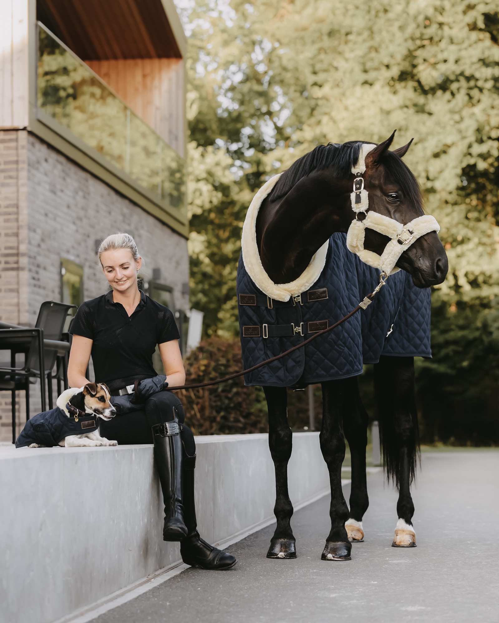 Show rug Show Rug 160g
