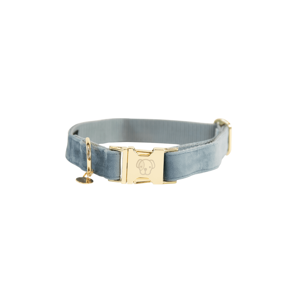 Hunde Halsband Velvet