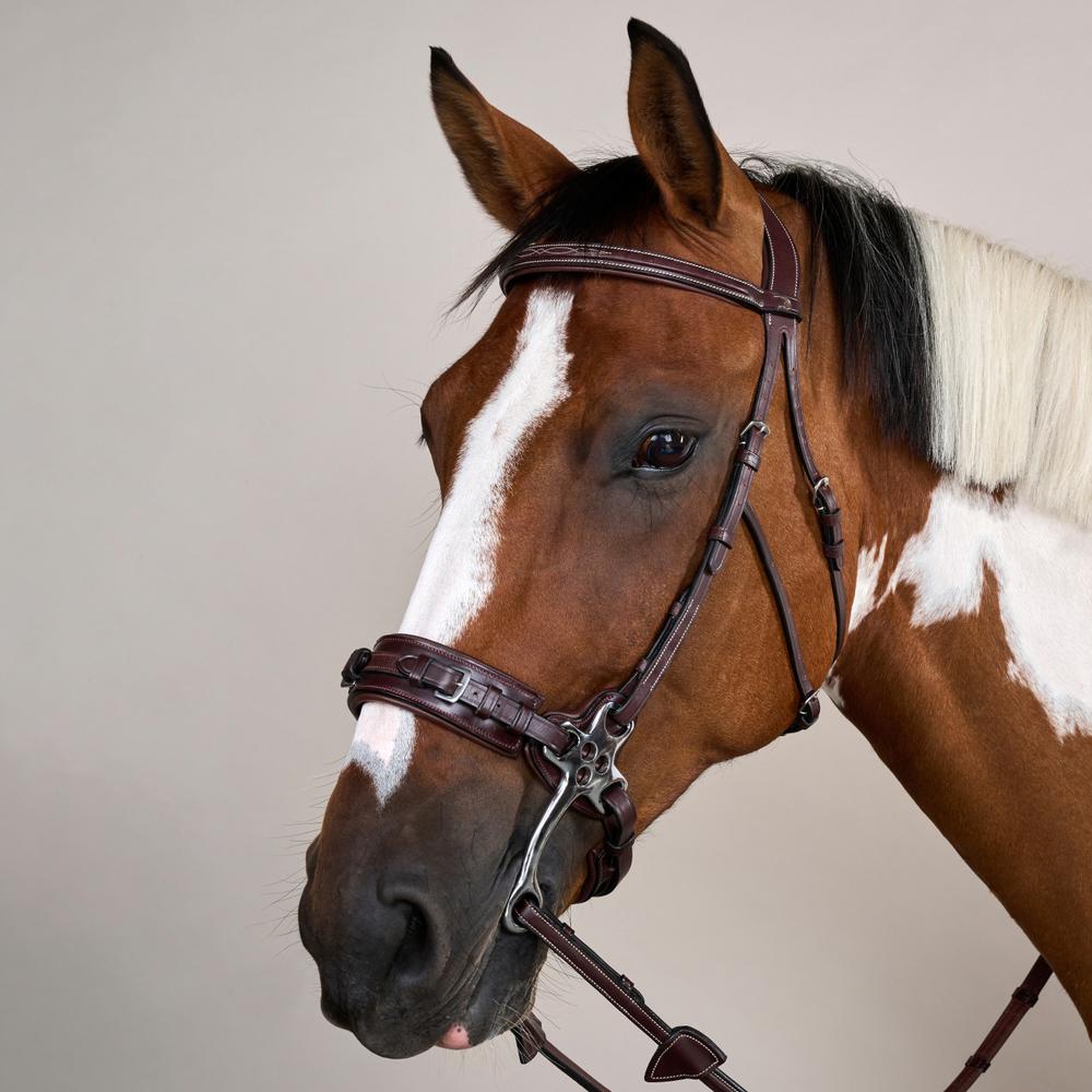 Hackamore-Zaum US